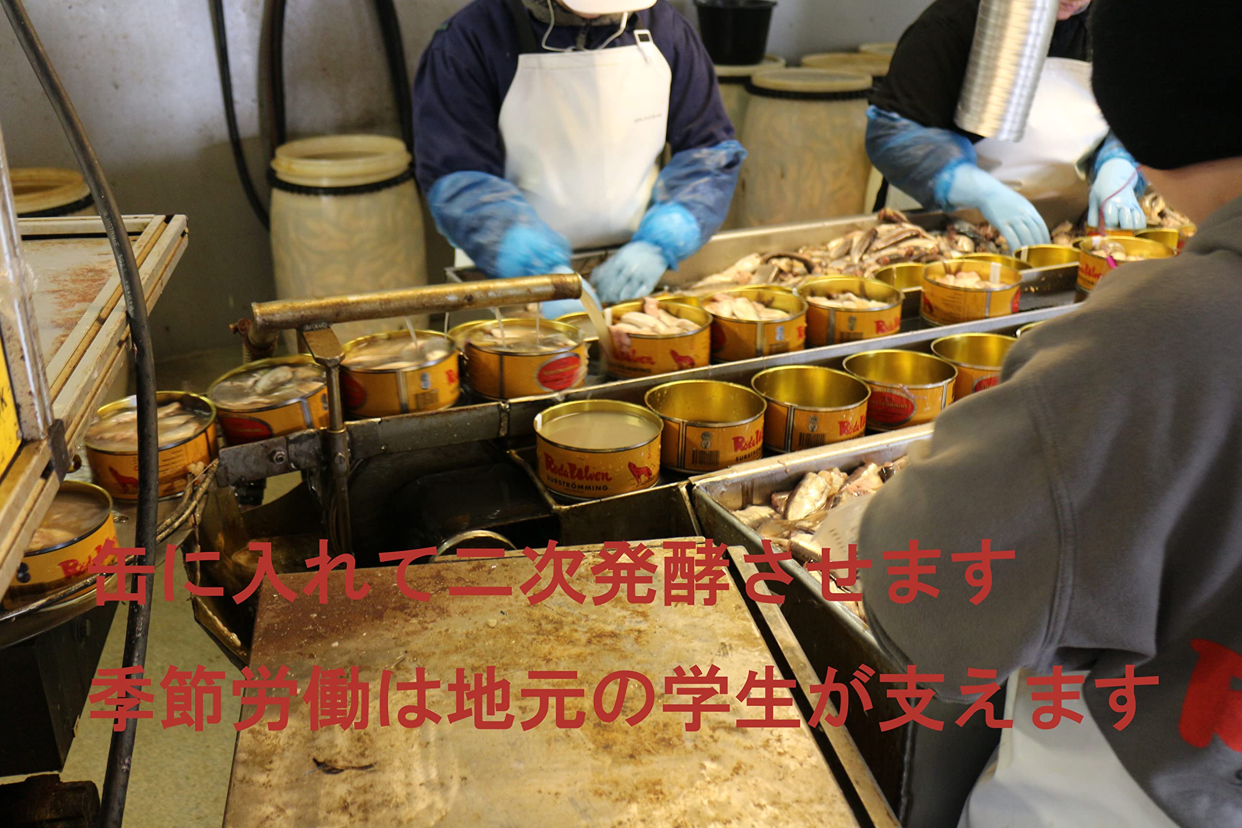Amazon | [SANKO] シュールストレミング フィレ 300g オリジナル 缶