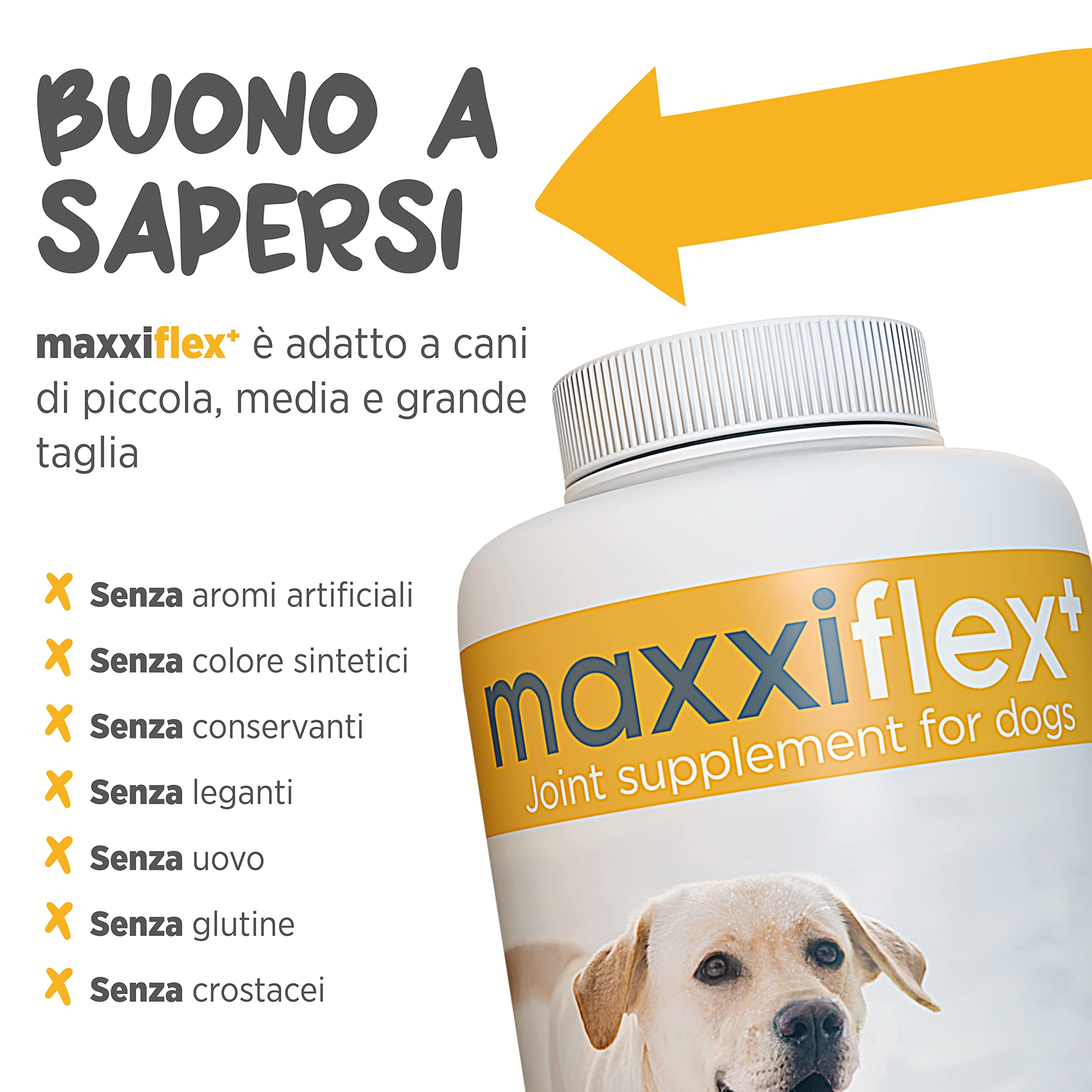 maxxiflex+ Integratore per Le Articolazioni del Cane per Migliorare la Mobilità e Avere Articolazioni in Ottima Salute – 120 Compresse