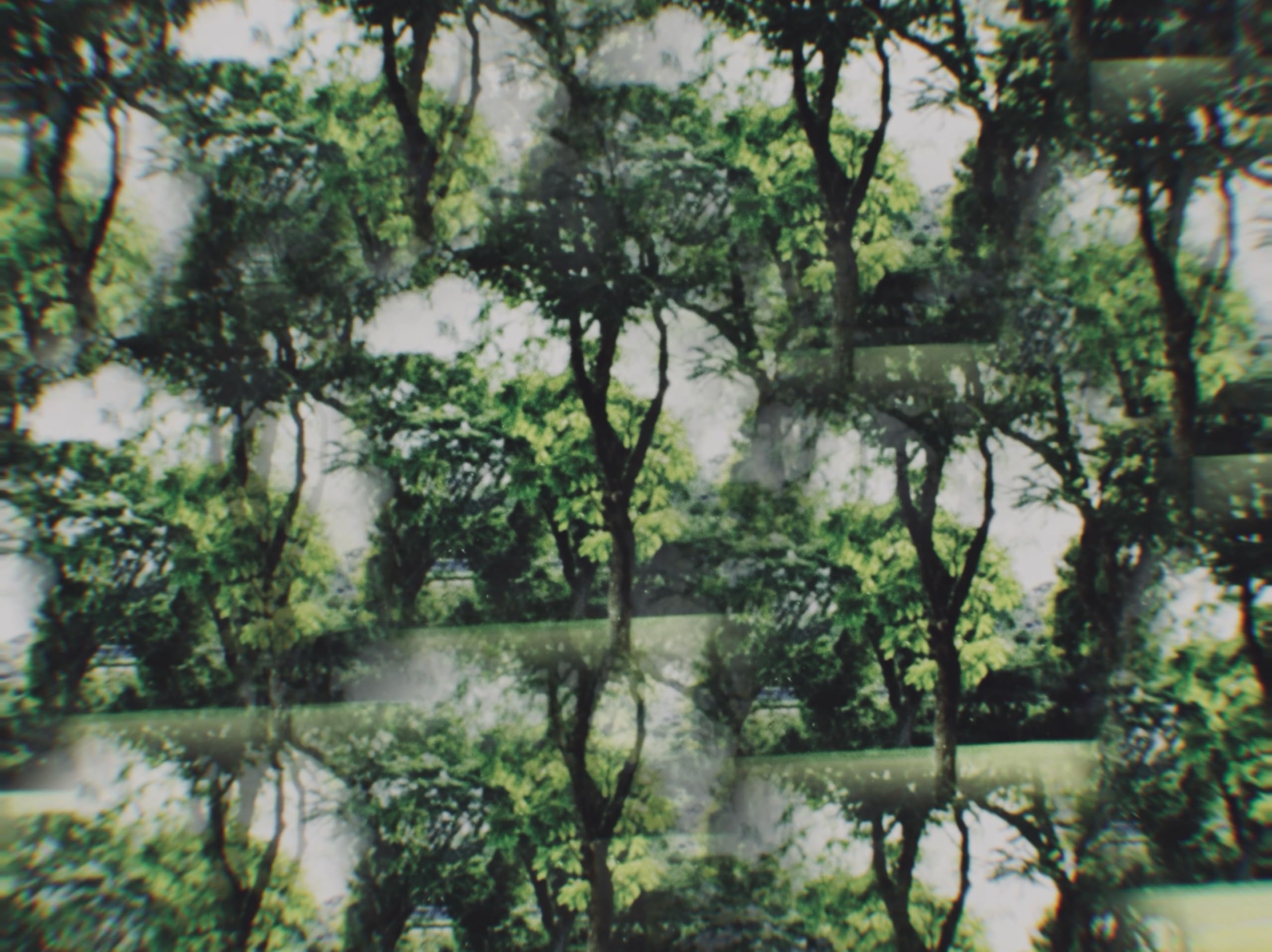 Caio Gabriel Almeida