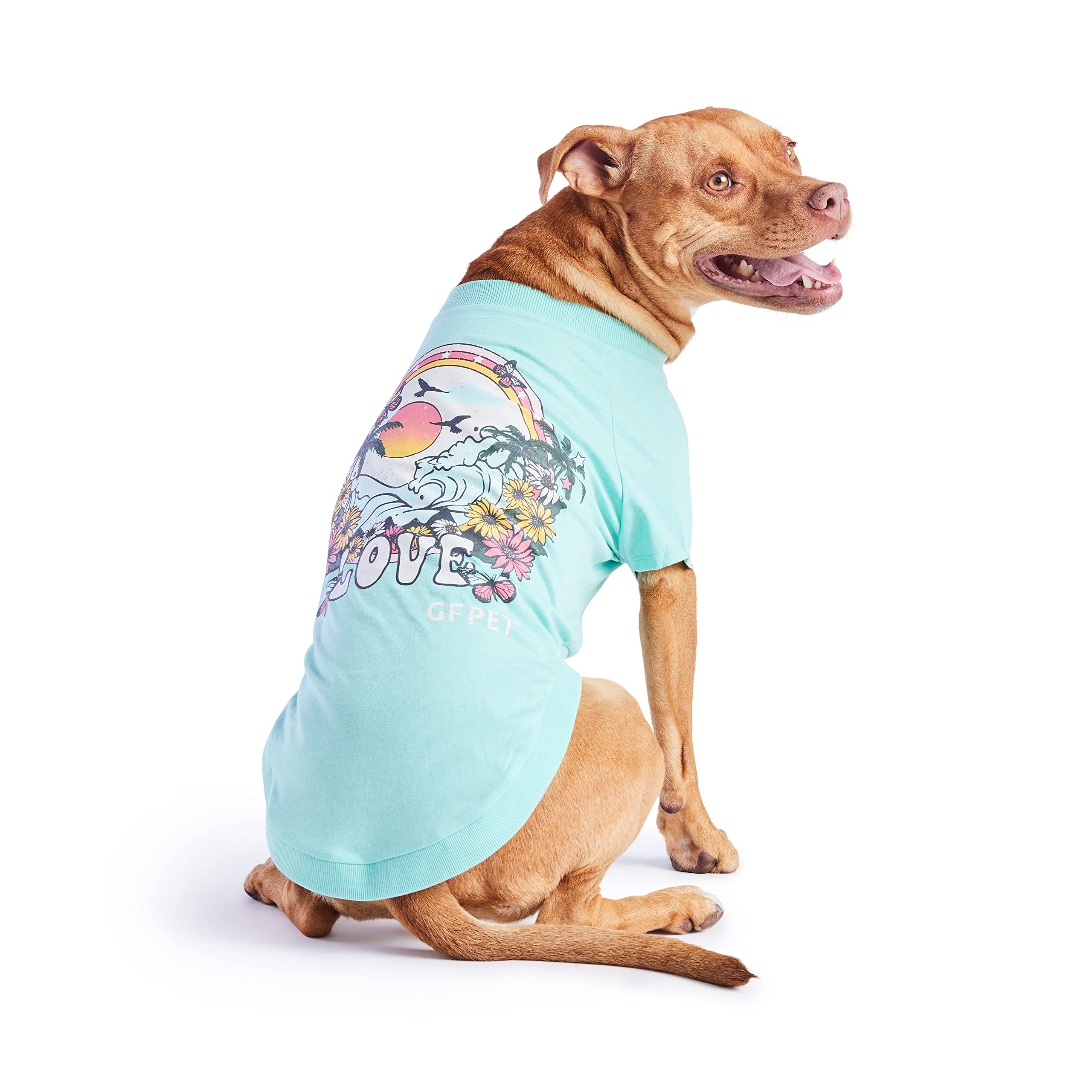 GF Pet - Graphic Tee Dog T-Shirt (Heather Aqua, X-Large)