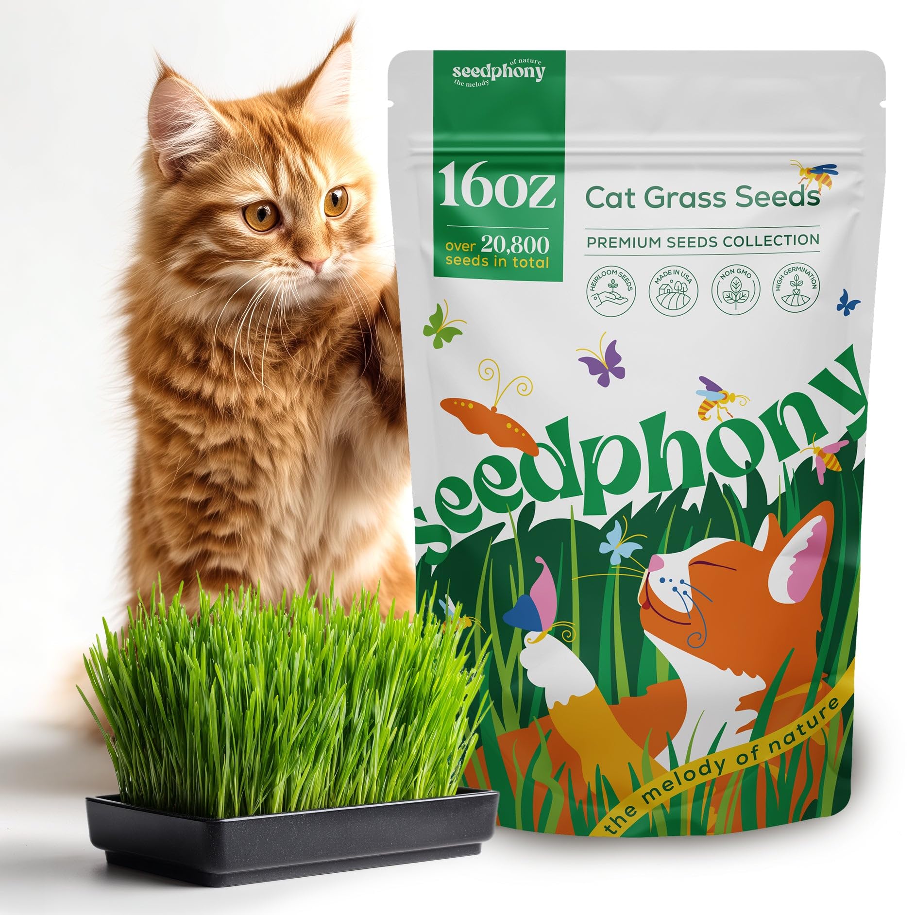 Seedphony Cat Grass Seed Mix