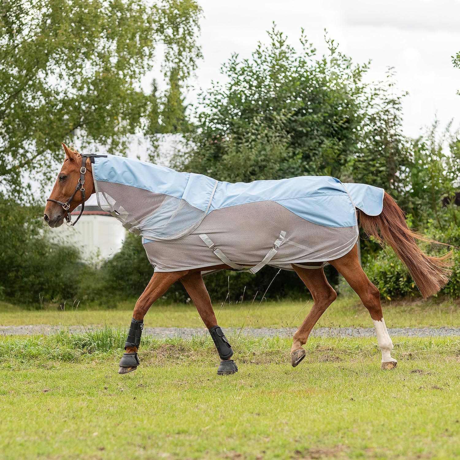 SUNRIDE Manta Lluvia antimoscas 0g Caballo (Oslo) – 1200D – Cuello Desmontable – 100% Impermeable – Columna de Agua 3.000 mm (Azul/Gris, 165 cm)