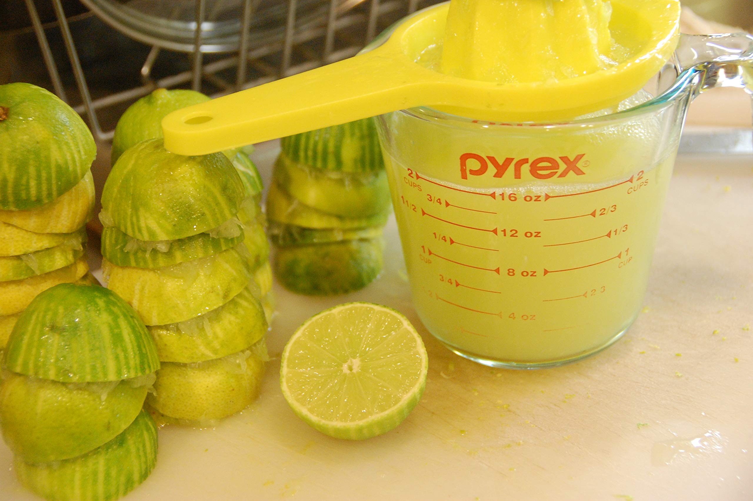 Ensure Plus Juce Lemon & Lime(220ml x12) Buy Online in India at Desertcart 78339097.