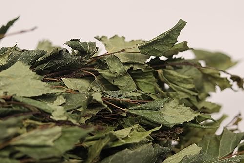 Miniatura 5 de ECOWOODDECOR Birch Sauna Broom - Authentic Sauna Experience with Natural Fragrance