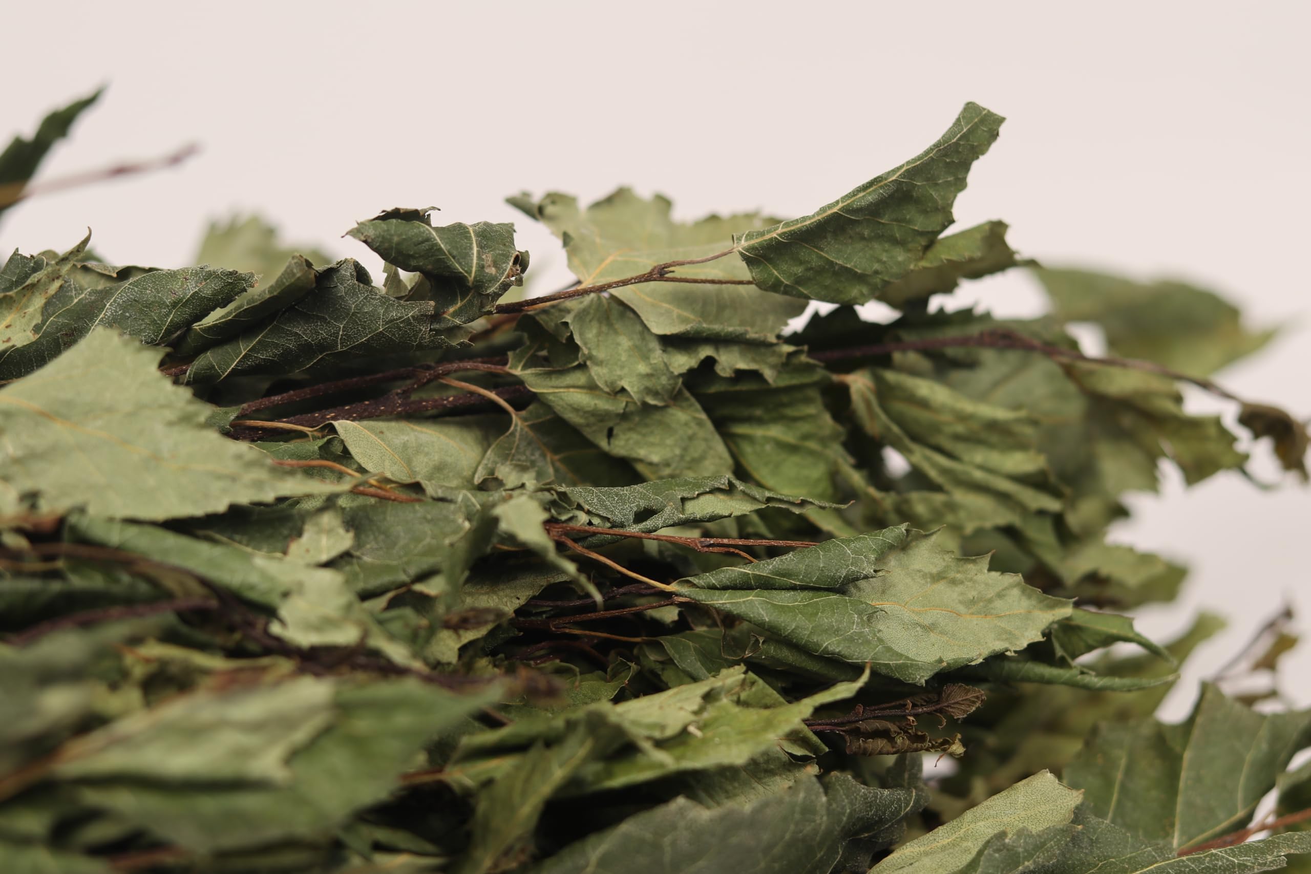 Balai de sauna en bouleau - Expérience authentique avec parfum naturel
