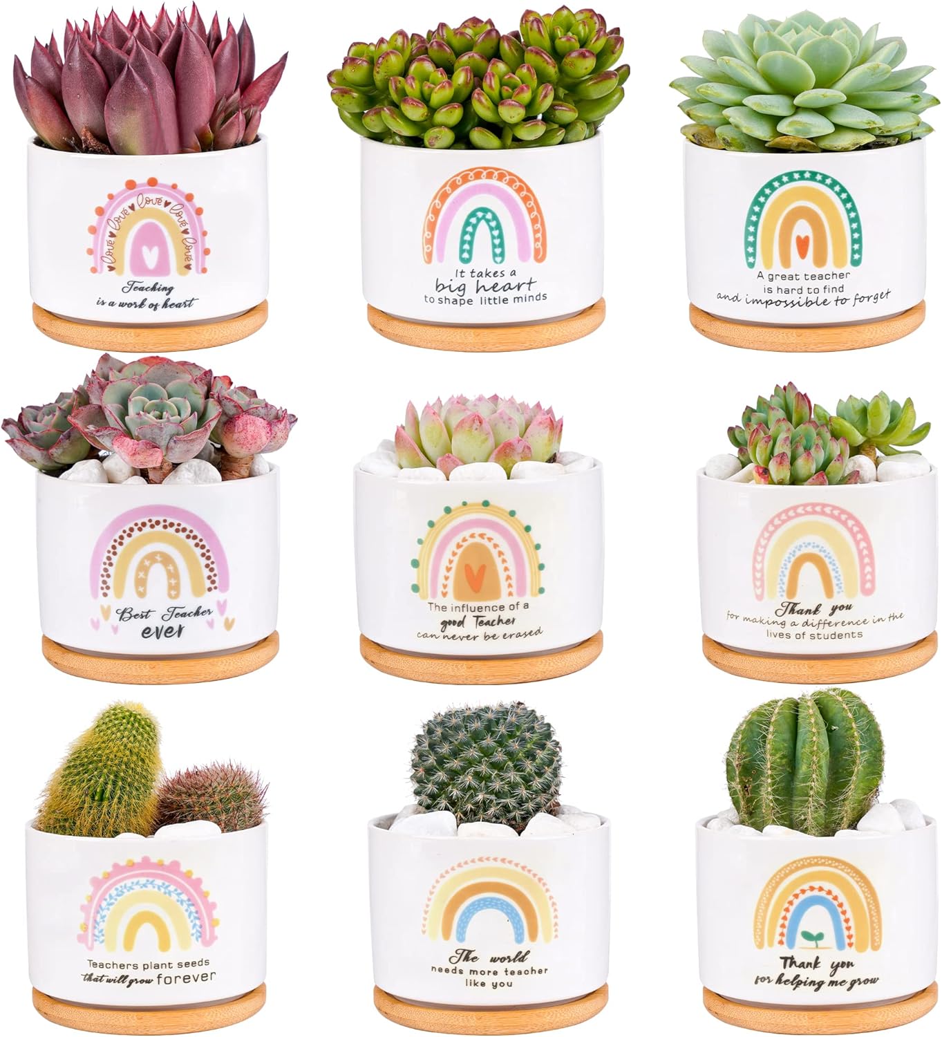 Kolewo4ever 9 Pieces Teacher Appreciation Gifts Ceramic Succulent Plant Pot Small Flower Planter Rainbow Funny Cute Succulent Accessories for Best Teacher Gift Plant Not Included
