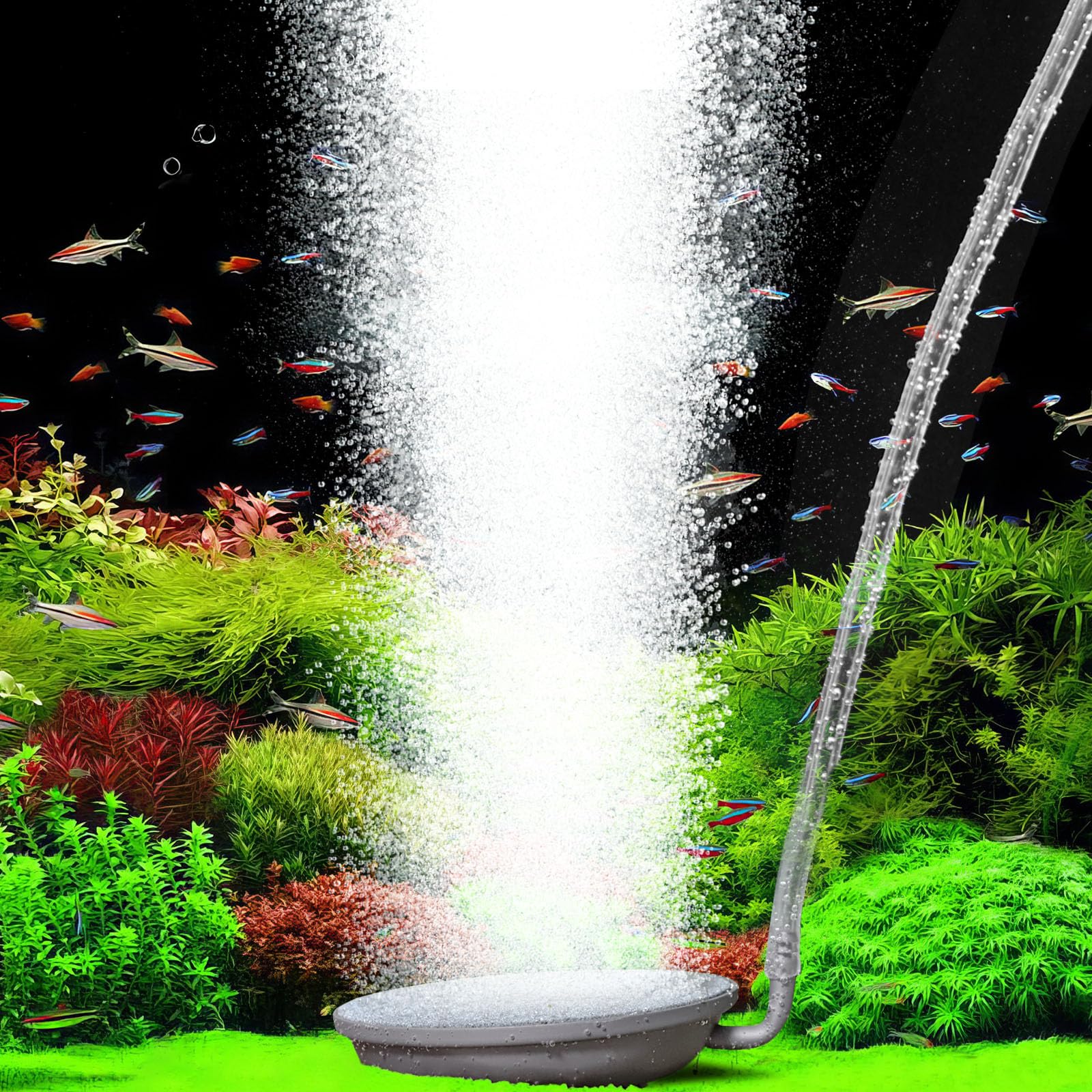 hygger Aquarium Air Stone, 3.1 Inch Fish Tank Bubbler Stone Kit Makes Super Tiny Bubbles, Ultra-High Dissolved Airstone with Stainless Steel Base Aquarium Fish Tank and Hydroponic