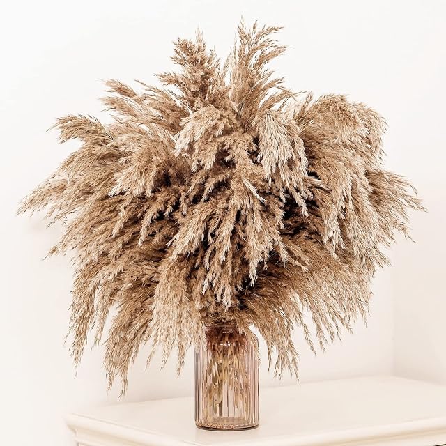 GOALS 20 Pcs Fluffy Pampas Grass 60 cm Tall Brown Dry Boho Room Decor Natural Pampa Bouquet Wedding Fall Home Decoration (Brown, 60 cm Tall)