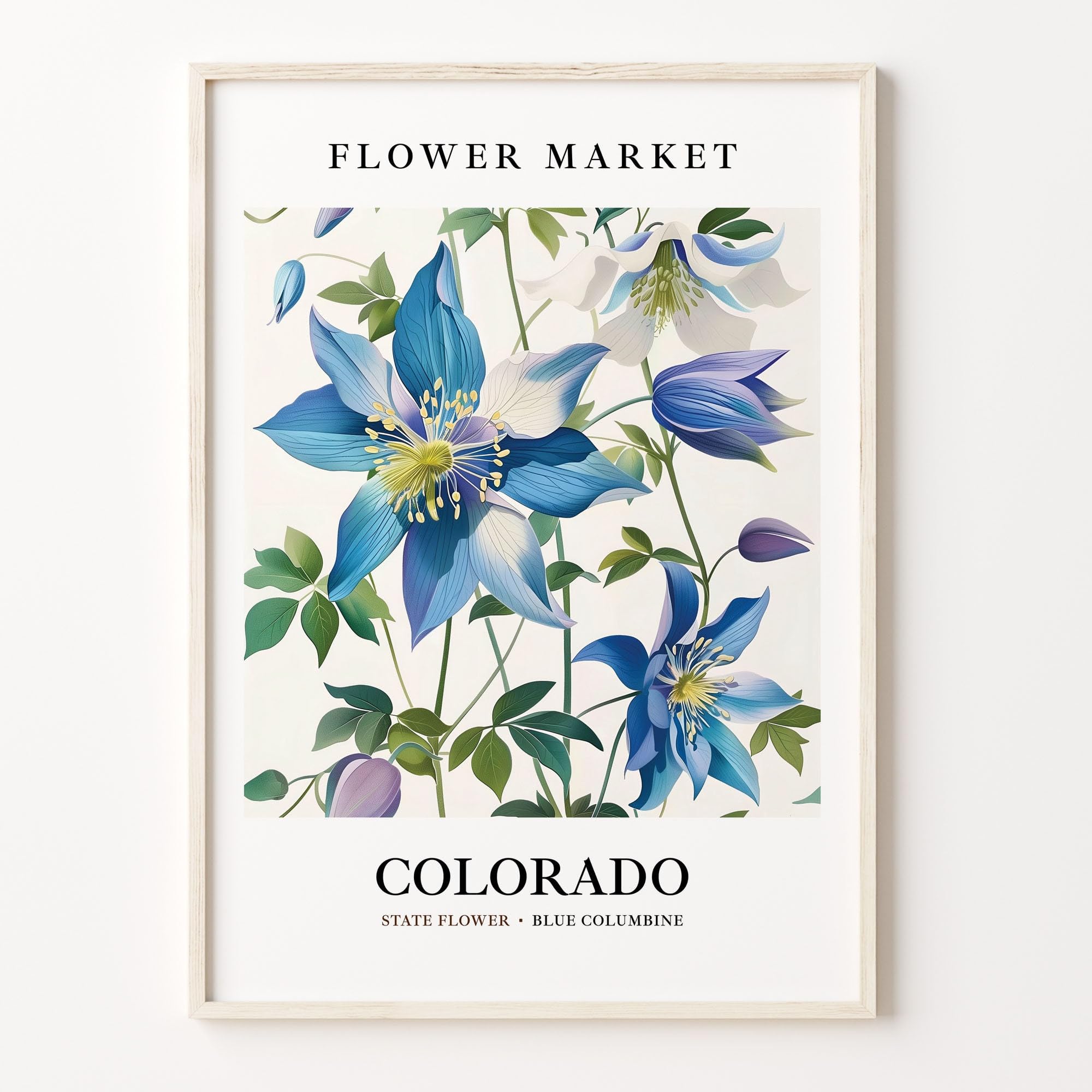 Amazon.com: Colorado State Flower Art Print, Blue Columbine 1960's
