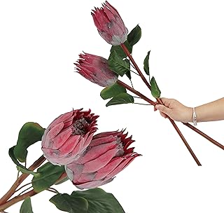 4pcs Artificial Protea Flower, 26 Inch Super Long Stem Faux Silk Bud for Home Decor Centerpiece Crafts Wedding Bouquet, Red