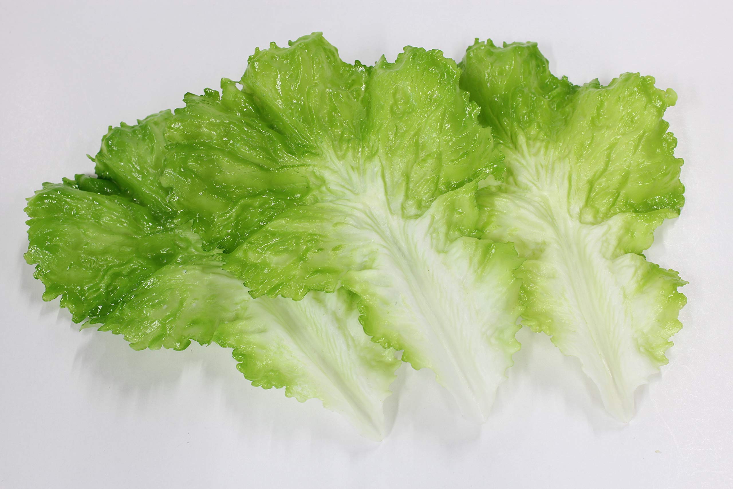 Amazon.co.jp: 食品サンプル レタスセット 販促 インテリア