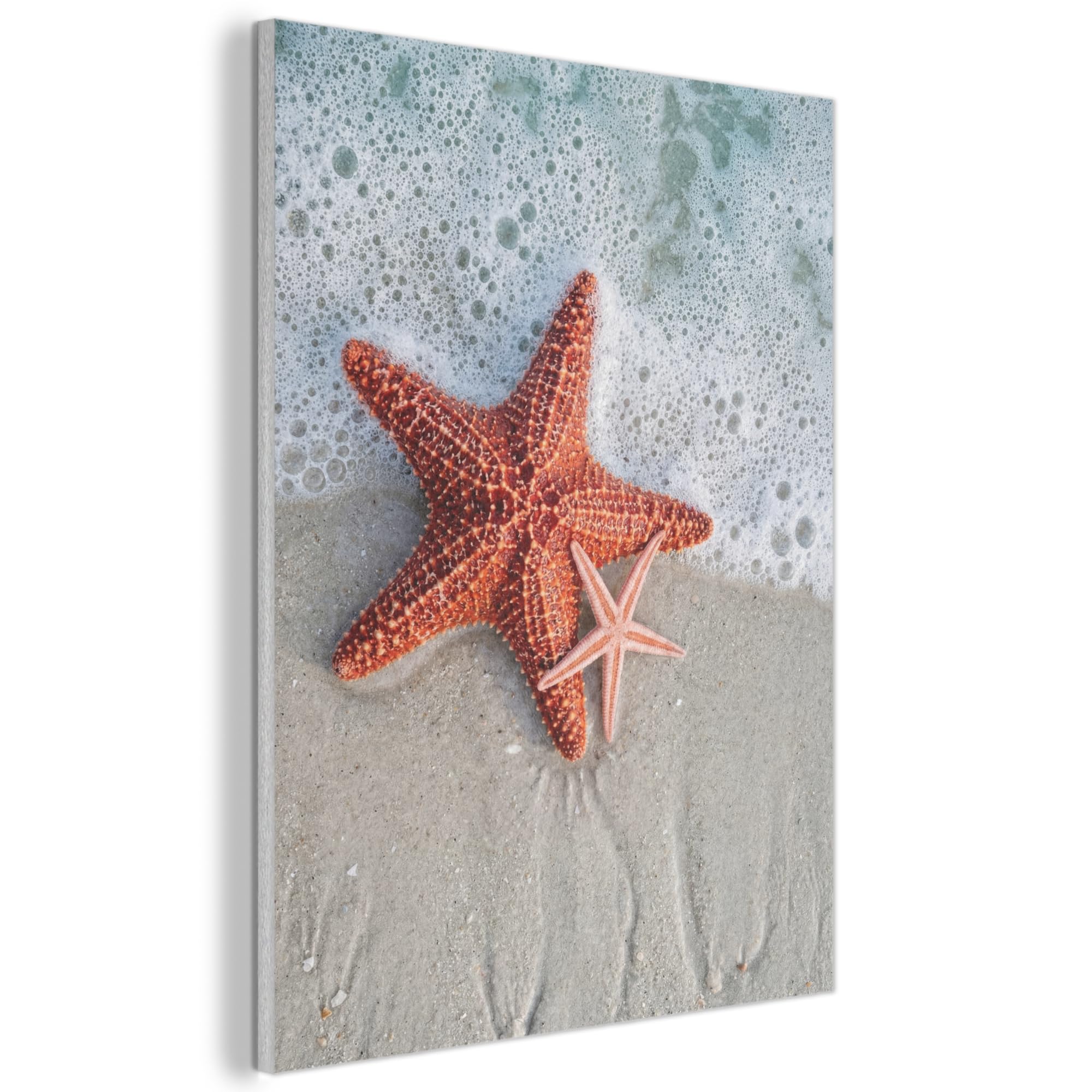 MuchoWow© Felt Panel 70x100 cm Room Style Piece Wallfillers Visual Display Decoration Wall Art Starfish - Beach - Sea
