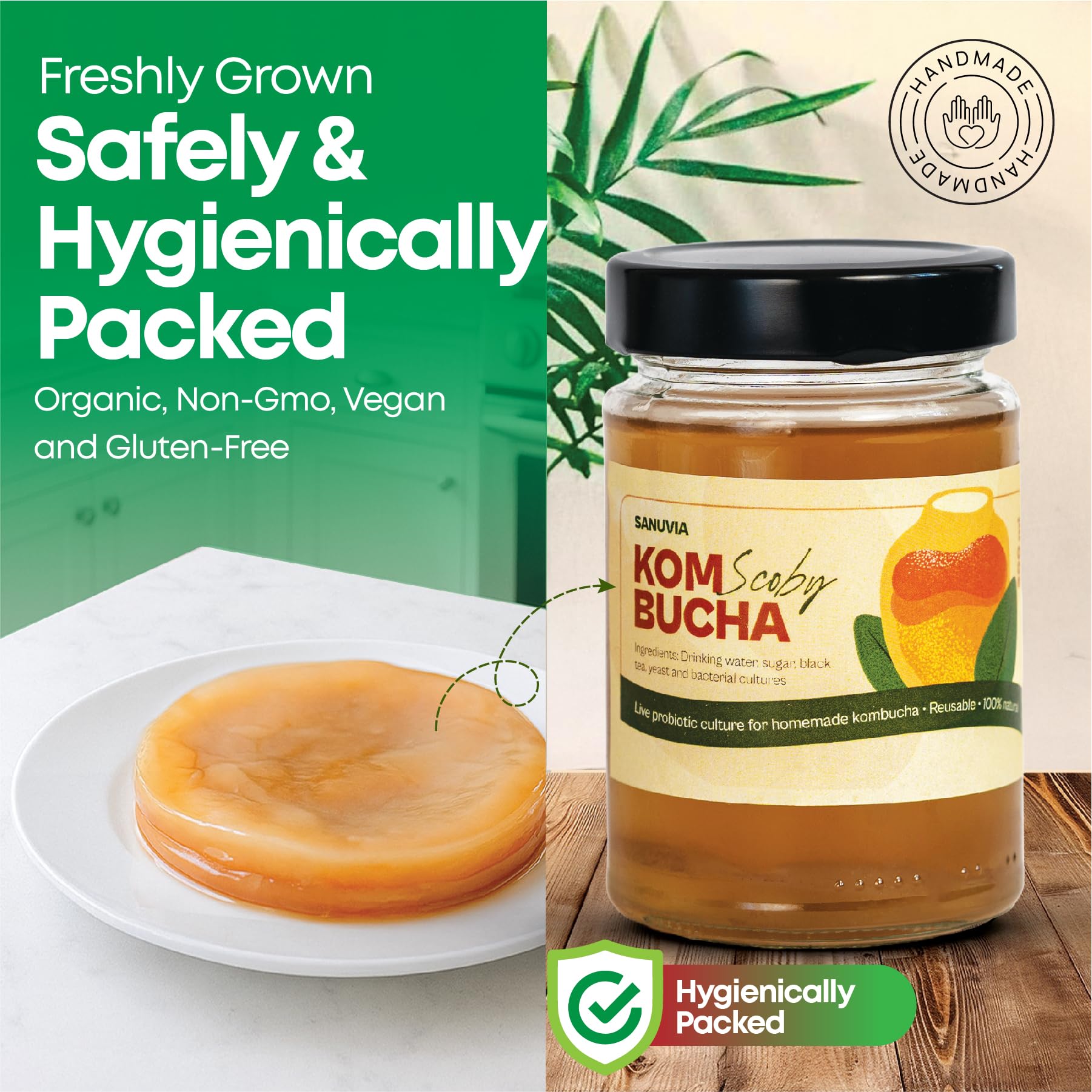 SANUVIA Kombucha SCOBY Starter Culture – Hongo de té con 300 ml de té iniciador en frasco de vidrio – Vegano, cultivo vivo, reutilizable
