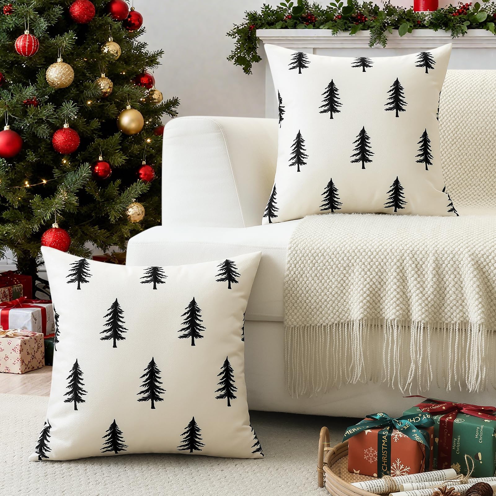 View 5