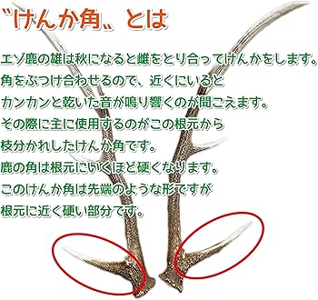 Amazon | 鹿角さん 鹿の角 犬 用 おもちゃ 大型犬用 けんか角 1本