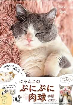 専用☆ 肉球手帳カバー2冊☆ ジョリーフルール 楽天市場】ポール＆ジョー ラ・パペトリー EDiT 手帳カバー 週間