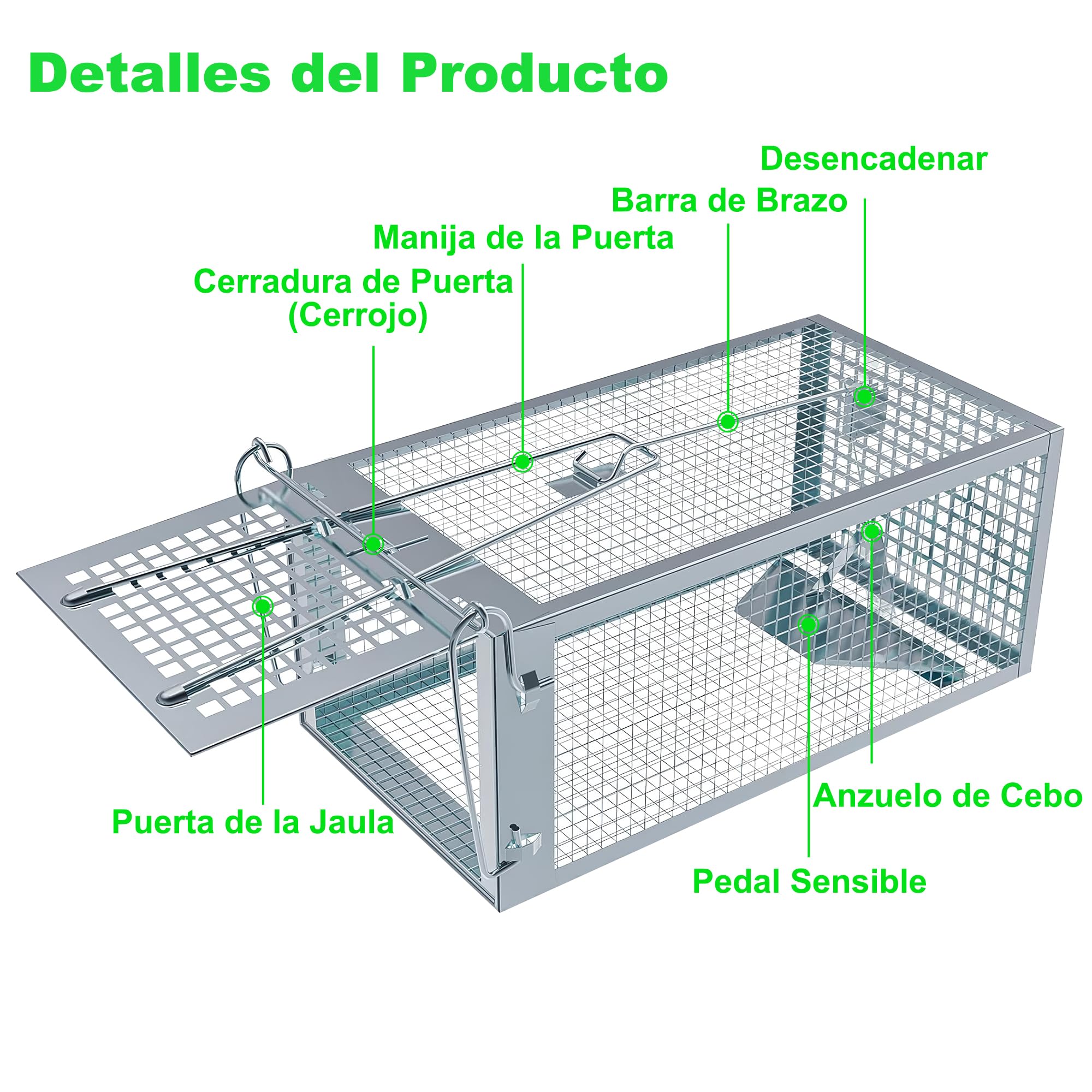 Trampa para Ratones Vivo, 2 PCS XL Trampas Ratas para Interiores y Exteriores Sin Matar Cepos para Ratones Reutilizable, Sin Mecanismo de Liberación Táctil para Cocina Jardín Hogar - 27 x14 x12 cm