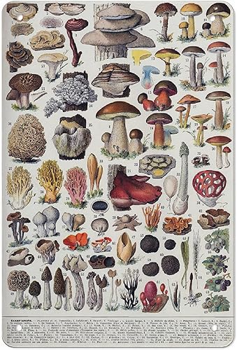 AMOGHASIDDHI Cartel de aluminio vintage de metal con estampado de champiñones de 8 x 12 pulgadas, letrero de pintura para decoración de pared, placa