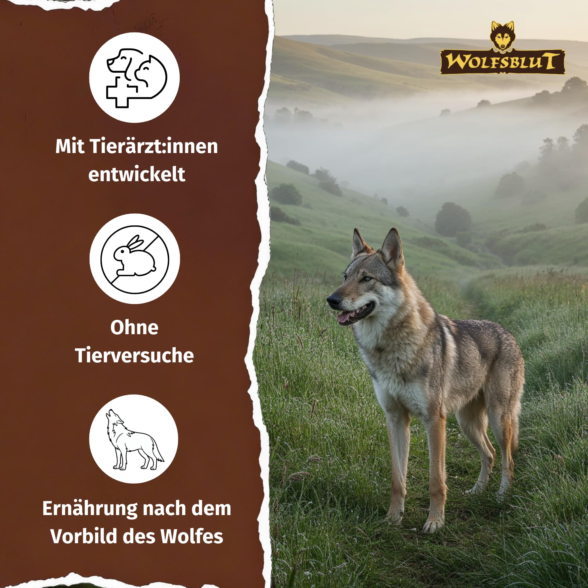 WOLFSBLUT – Green Valley Adult | Trockenfutter mit natürlichen Zutaten und Superfoods für ausgewachsene Hunde. Getreidefreies Alleinfutter ohne Zusatzstoffe im Beutel | 12,5kg Lamm und Lachs