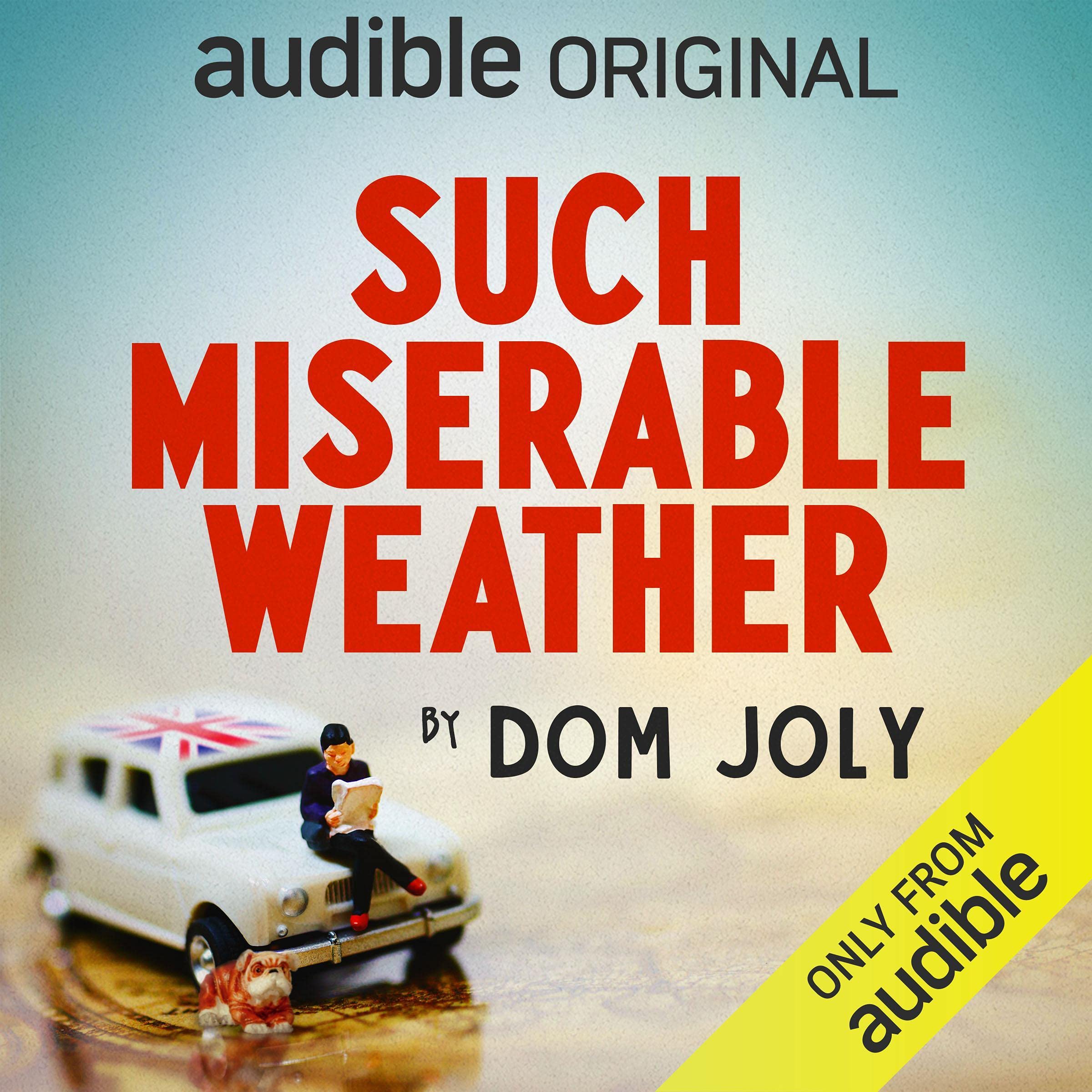 Cover art for Such Miserable Weather