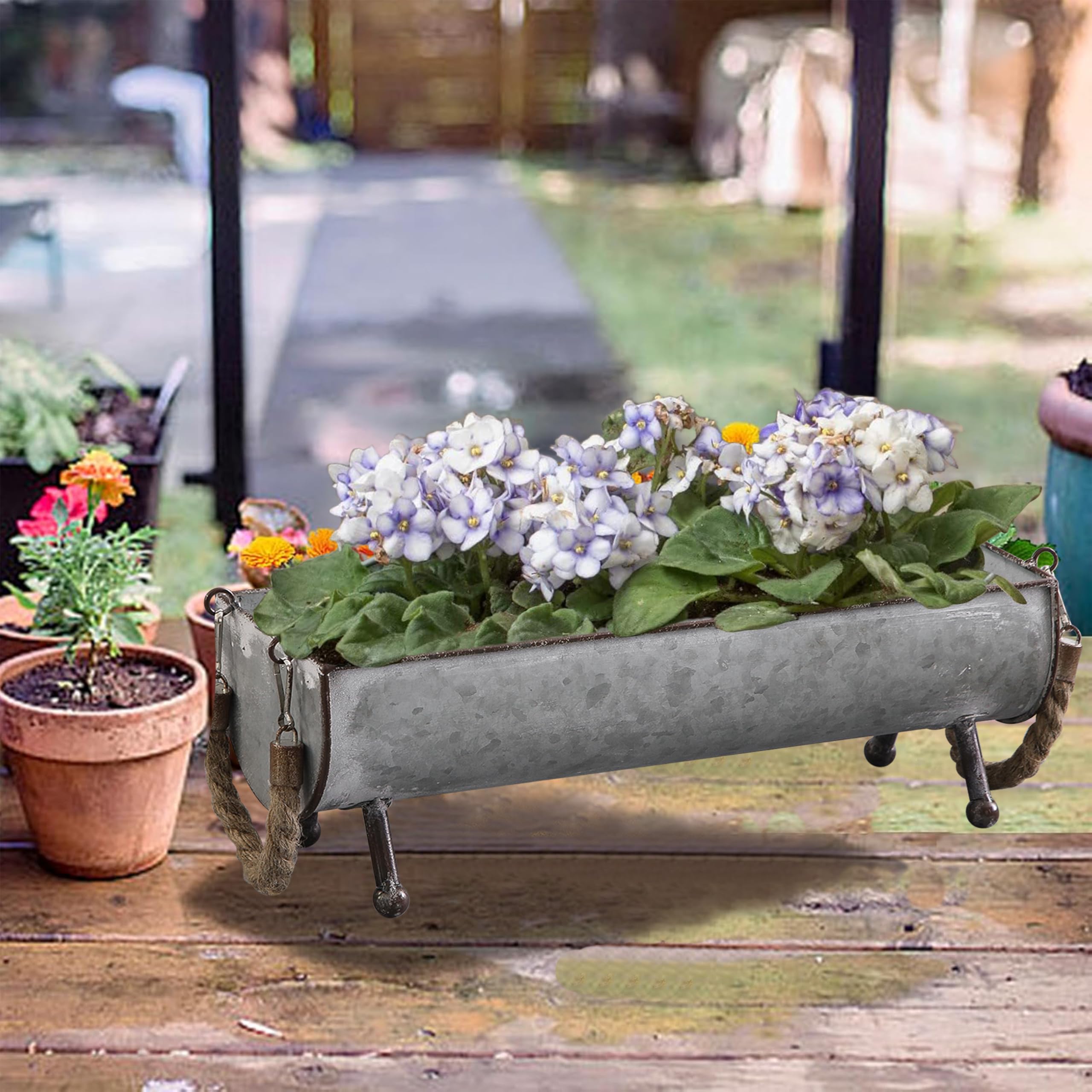 SOFE Juego de 2 comederos de pollo de metal galvanizado para aves de corral, comedero de mesa de picnic de pollo de granja, maceta de pollo, bandeja galvanizada decorativa con forma de paso, 15 y 13
