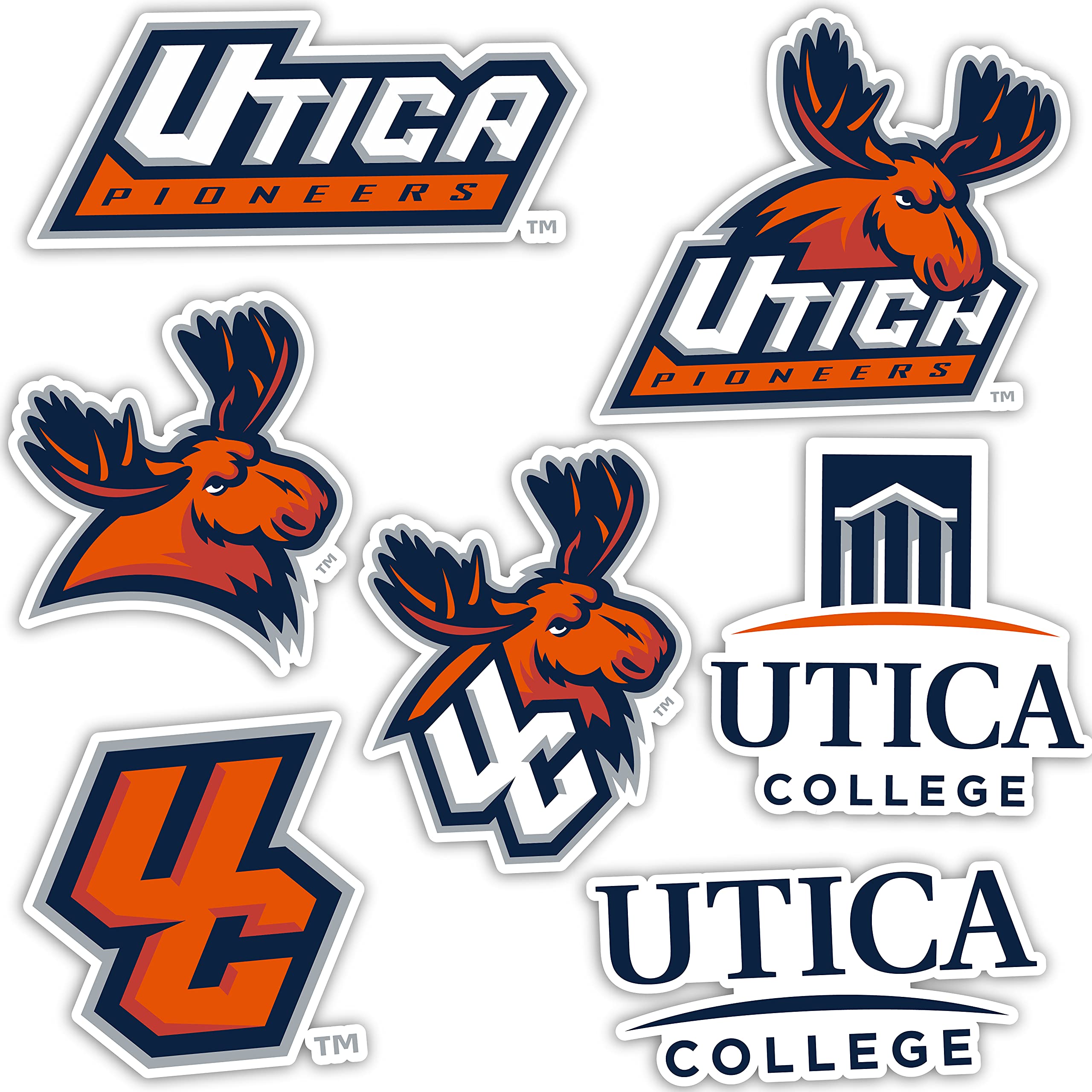 Amazon.com: Desert Cactus: Utica College