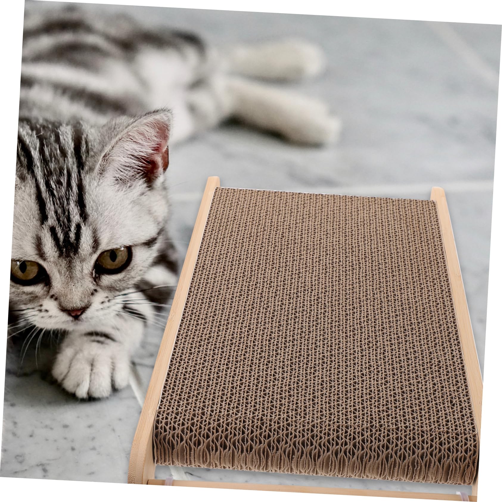 COLLBATH Katzenkratzbrett Mit Kratzmatte Und Haustierunterlage Robustes Katzenzubehör Indoor Für Möbelschutz
