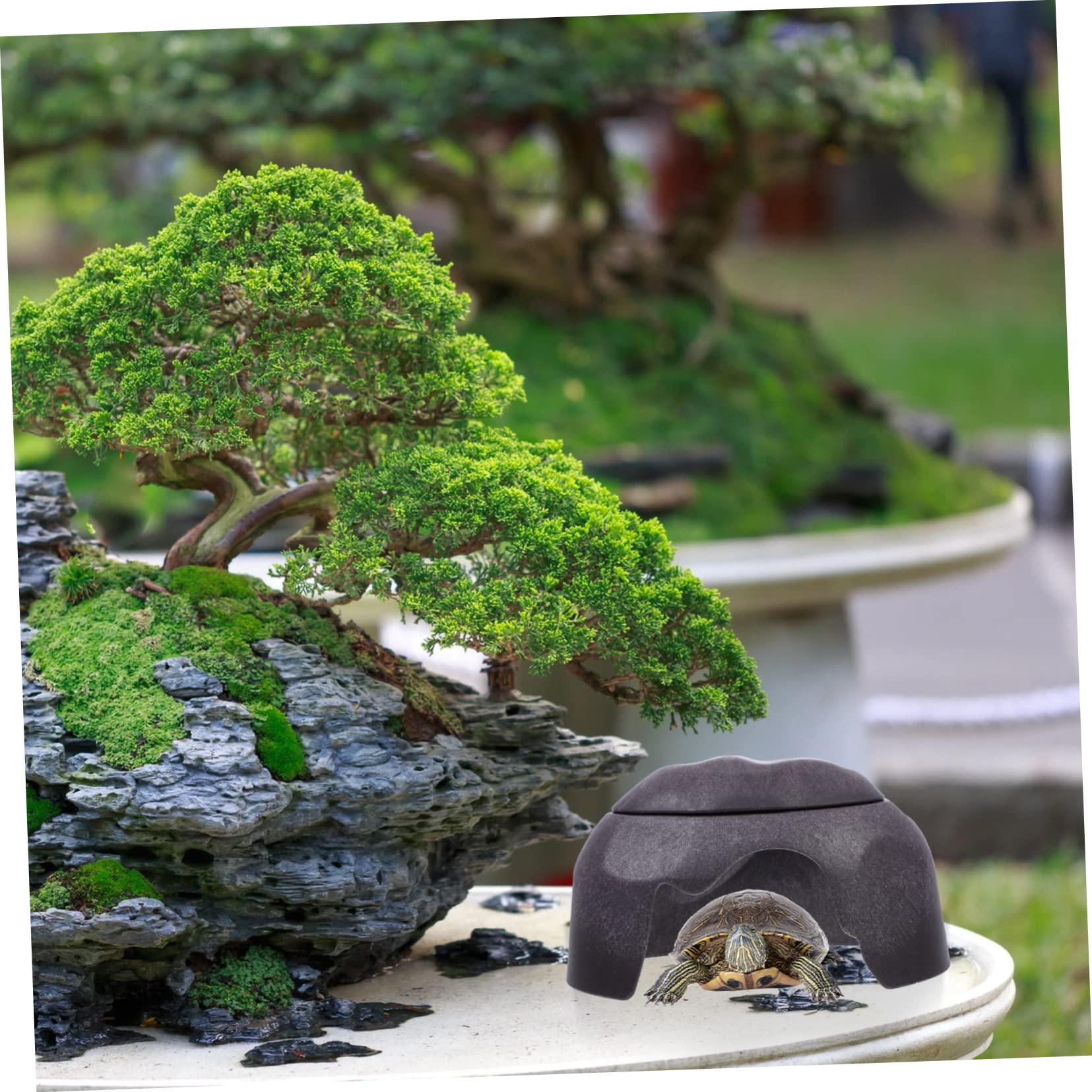 Cachette de Reptile en Céramique et Plastique pour Aquarium, 1 Set | Couleur Café, avec Gamelles, pour Poissons et Geckos, Décor de Bac, Format Adapté aux Vivariums