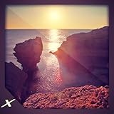 DigitalX