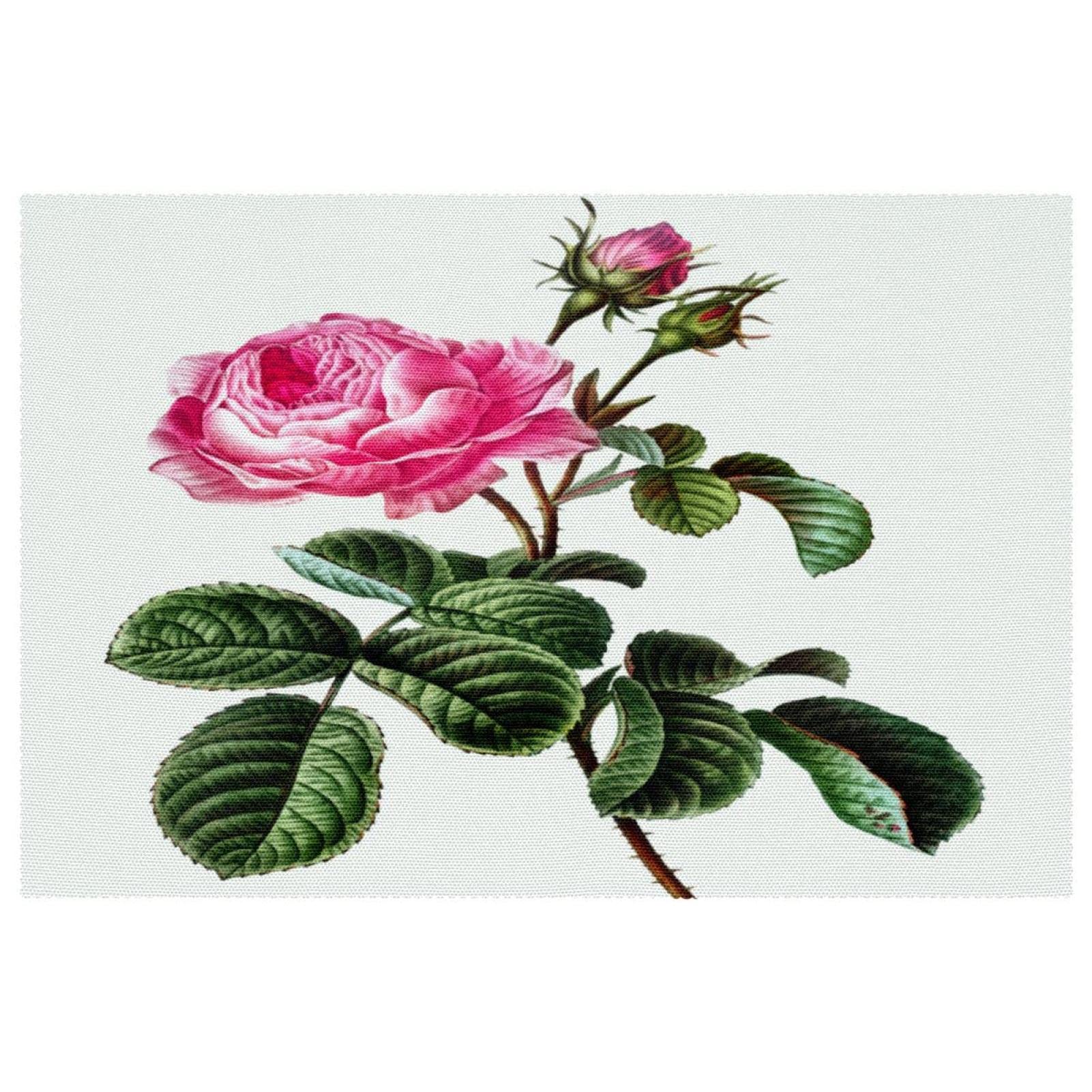Sets de table antidérapants et résistants à la chaleur avec magnifique imprimé floral rose