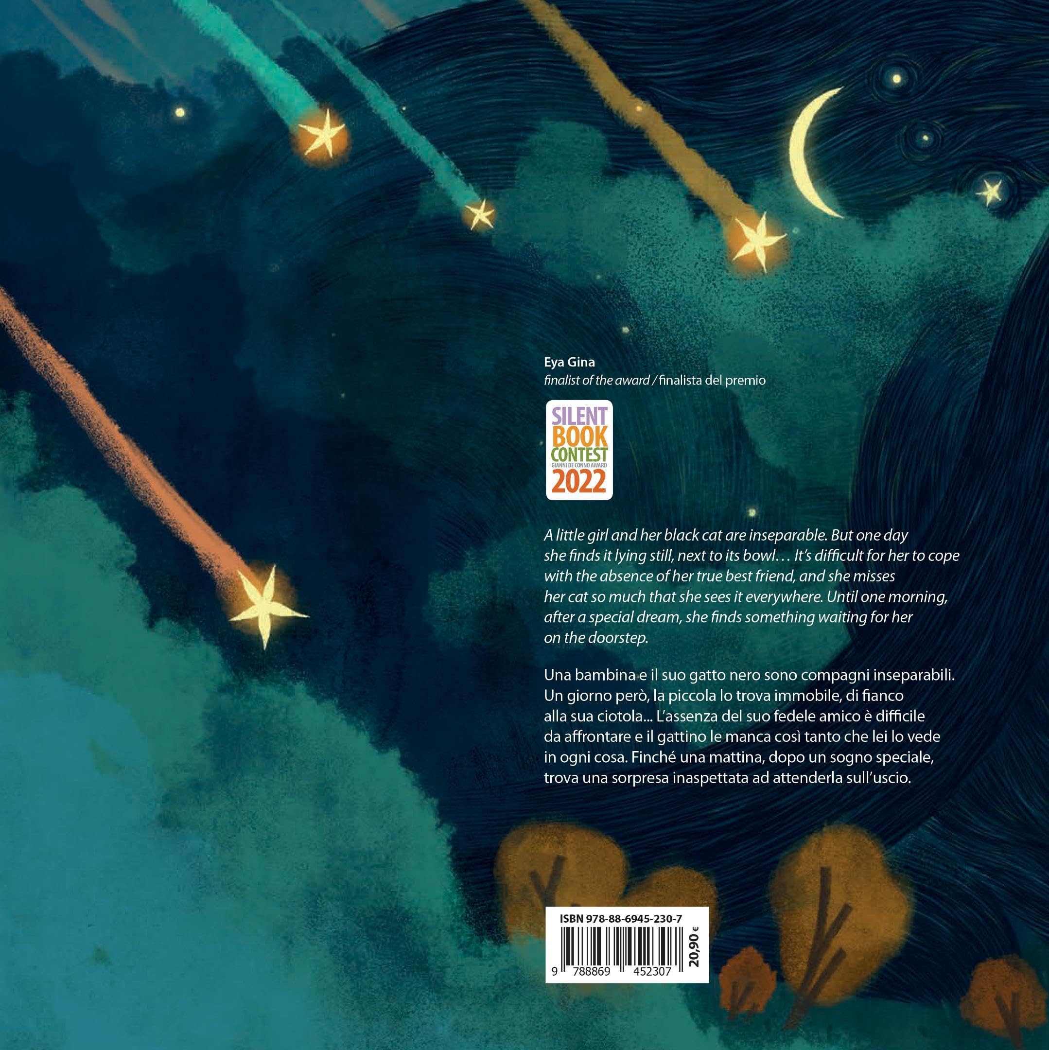 Un posto fra le stelle. Ediz. a colori (Silent book)