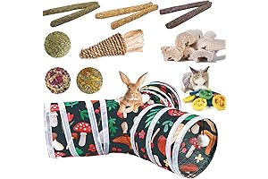 Rabbit Toys: Carrot Tunnel for Dental Health