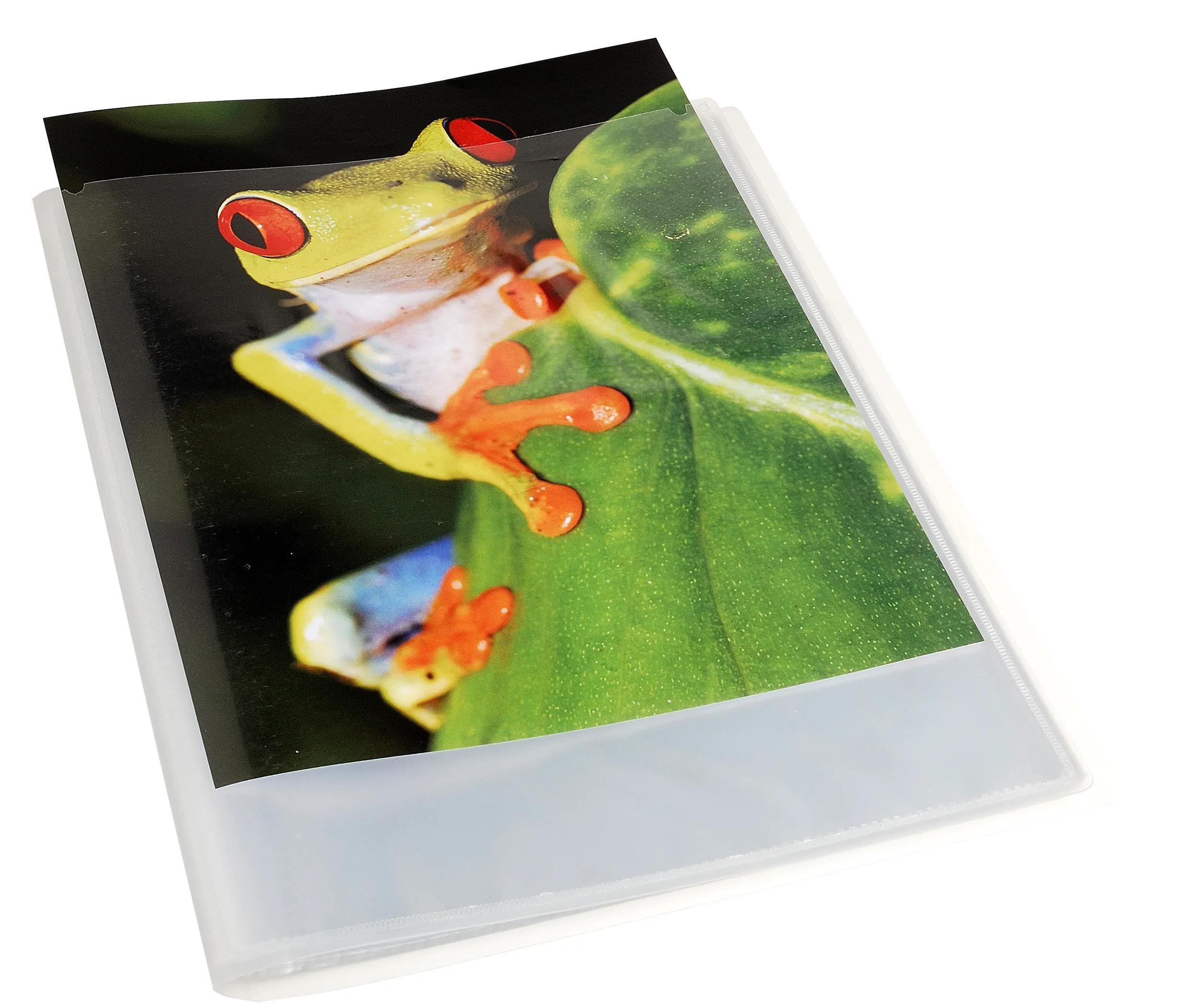 Exacompta 5788E 8er Pack Sichtmappe KreaCover Chromaline aus Kunststoff DIN A4 mit 80 Klarsichthüllen, 160 Sichten, Tasche am Vorderdeckel zum selbstgestalten, Aktenhülle, Prospekthülle, transparent
