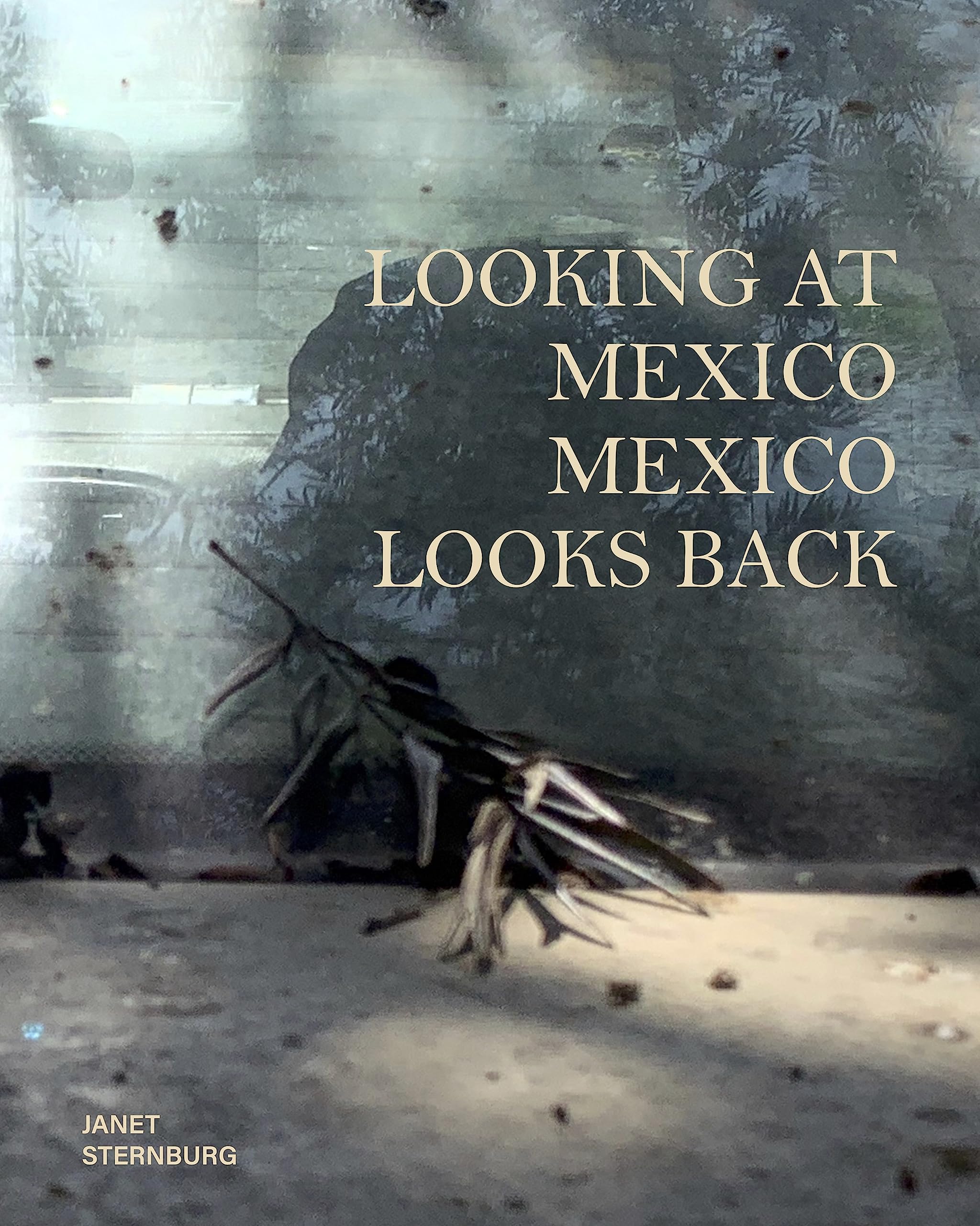 Looking at Mexico / Mexico Looks Back: English/ Spanish