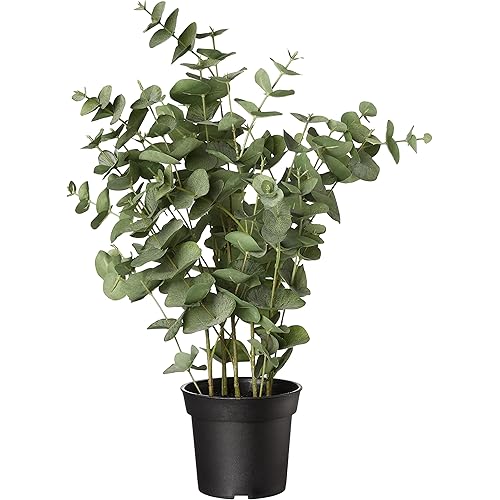Amazon Basics Artificial Fake Eucalyptus Plant with Plastic Planter Pot, 25.6-Inch, Green