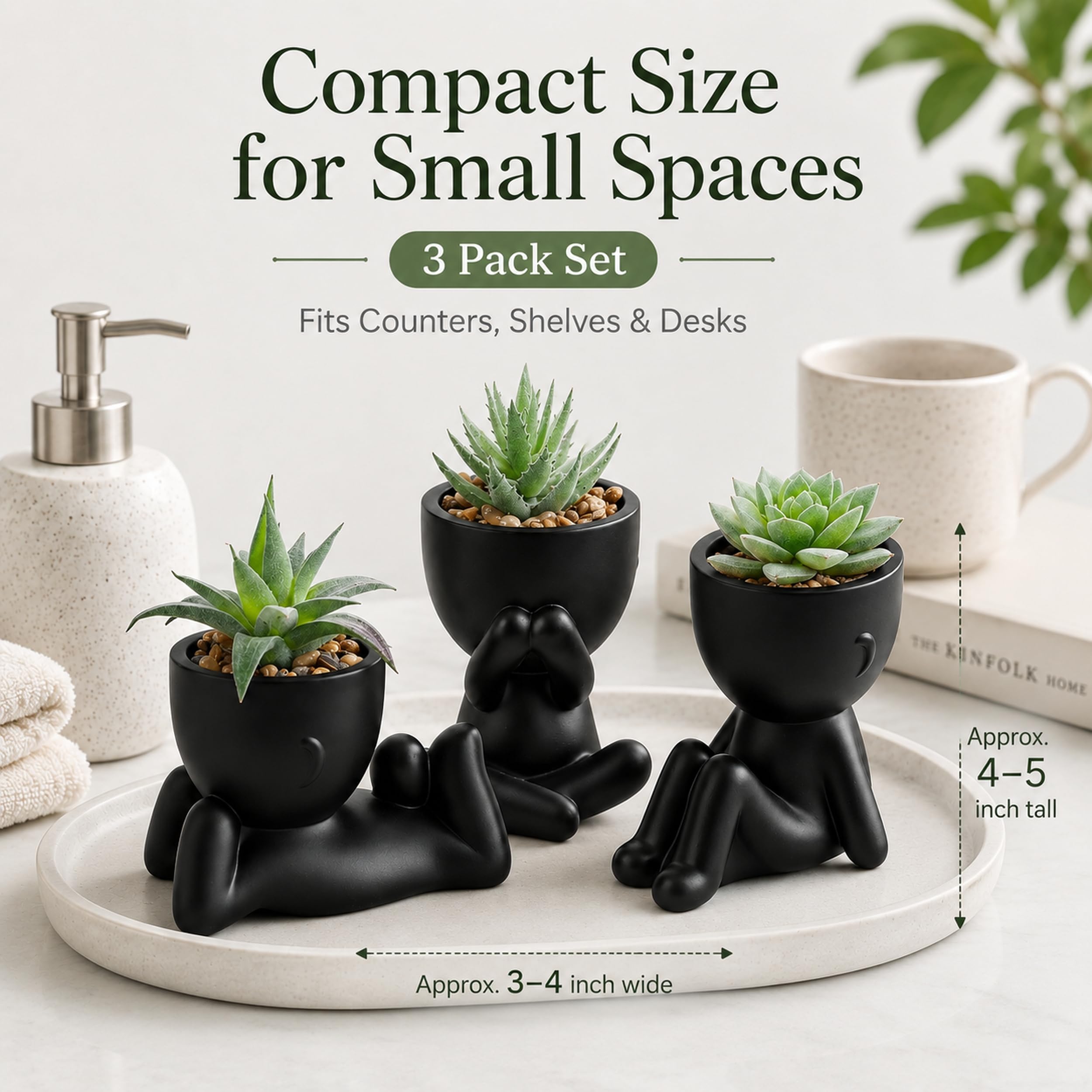 Der Rose Fake Plants - Black Succulents -6