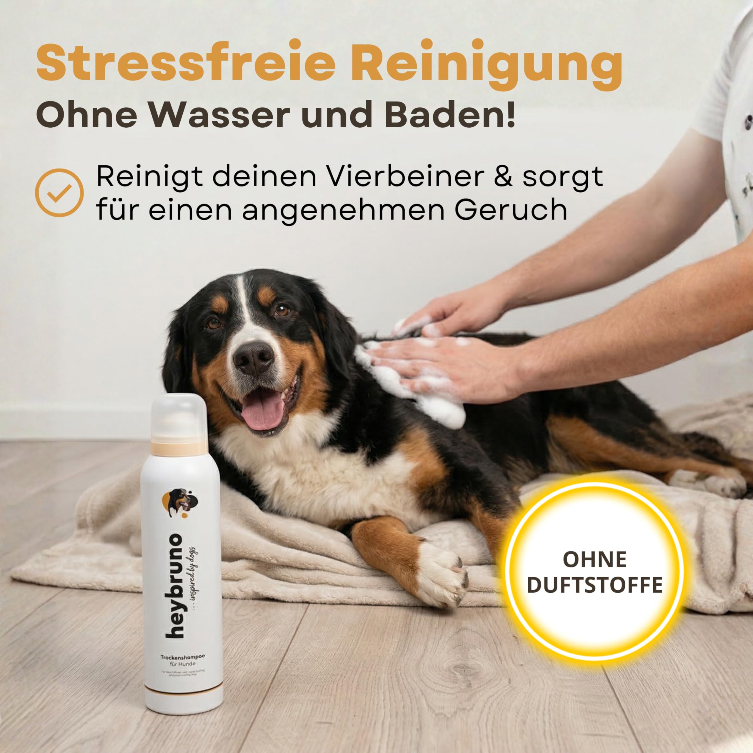 XXL Bundle Pfotenpflege und Fellpflege Set für Hunde - Pfotenreiniger 150ml mit Bürste - Pfotenbalsam und Nasenbalsam - Trockenshampoo Schaum - Hundeshampoo 200ml - Hundekamm für Langhaar