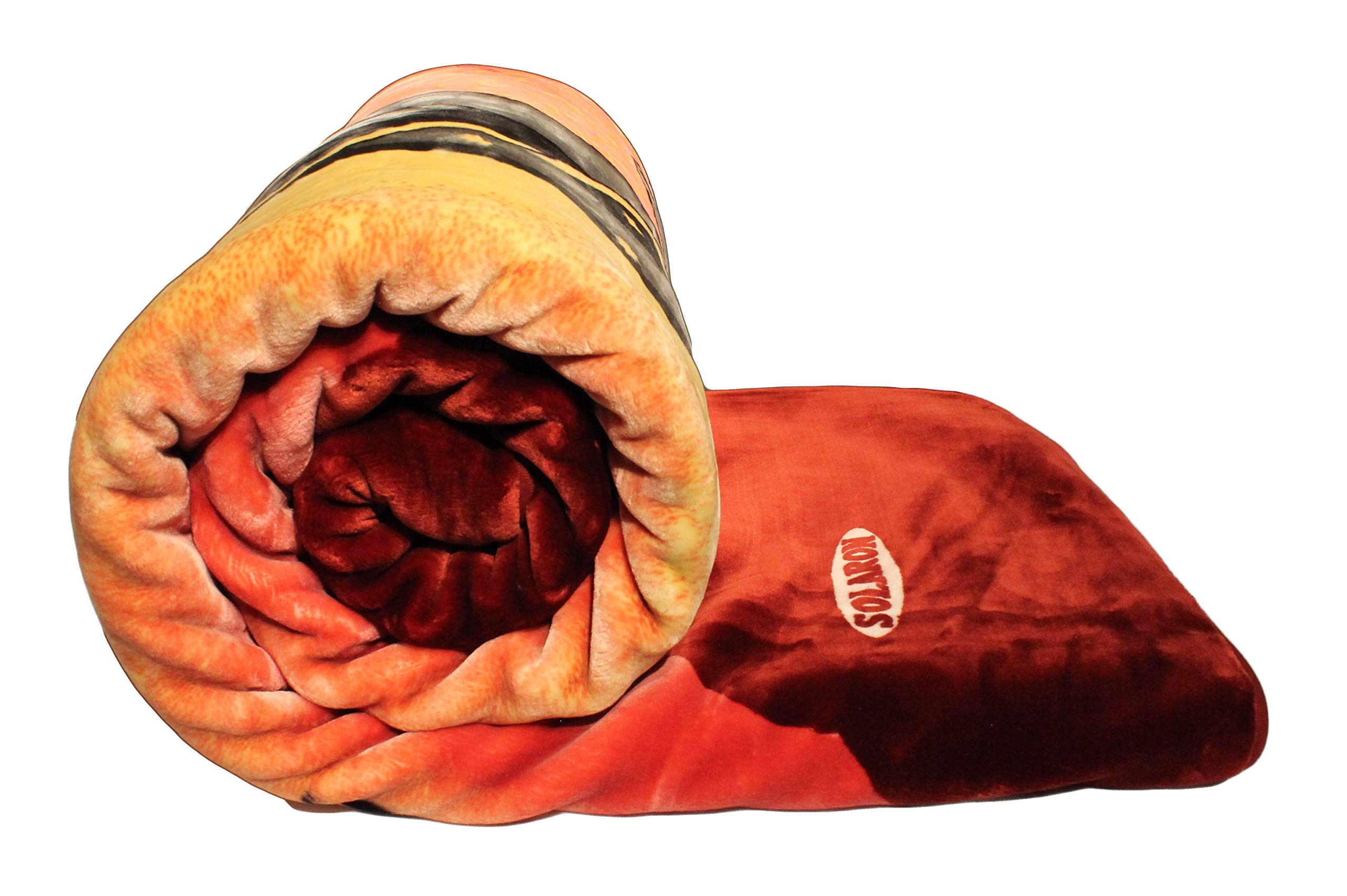 SOLARON Korean Super Thick Heavy Weight Mink Blanket Bed comforters