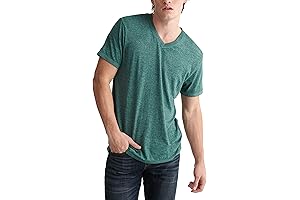 Men's Venice Burnout Vee Neck Tee
