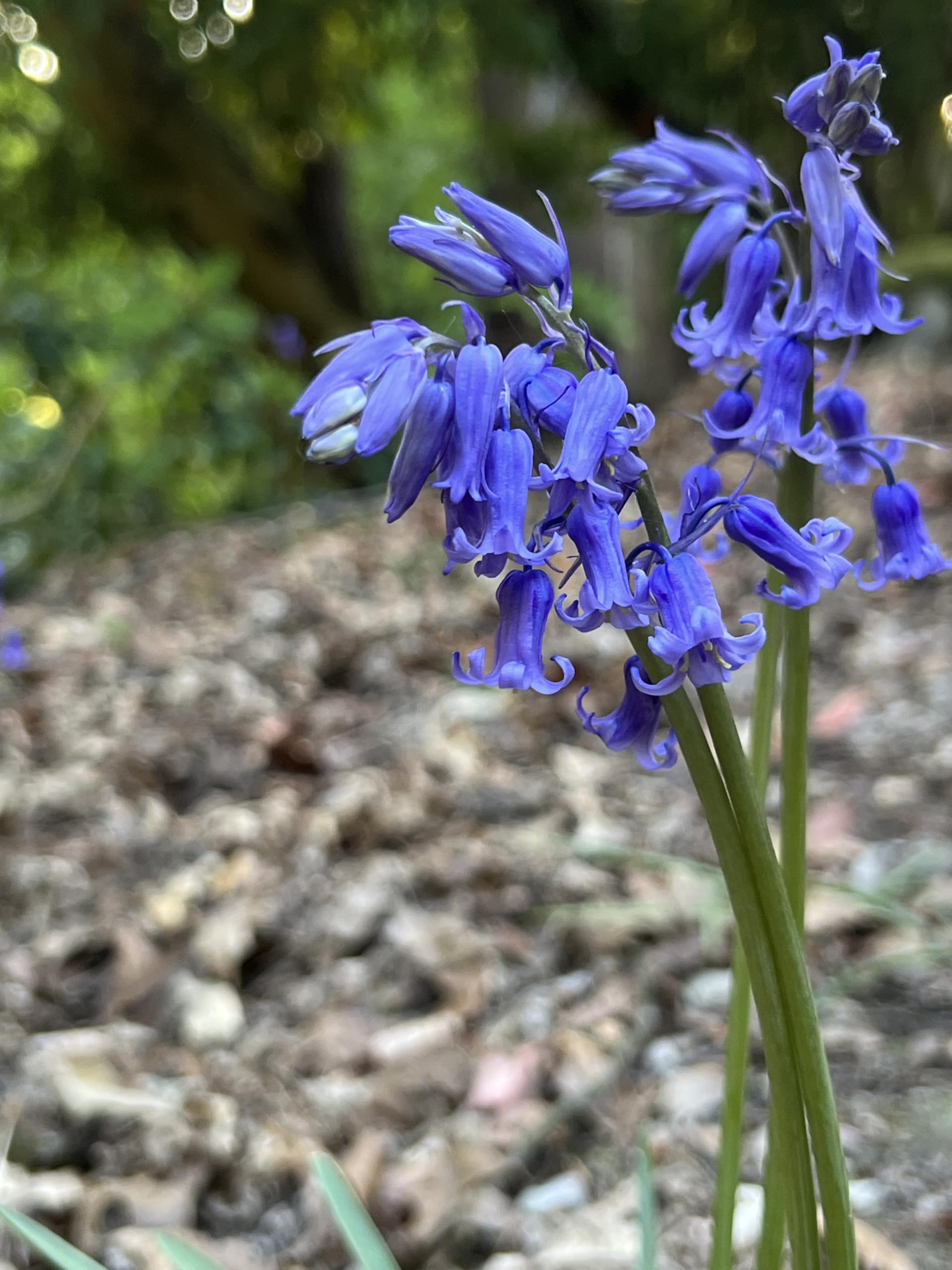 View 7