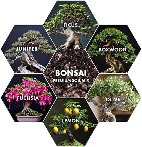 Miniatura 5 de Mezcla de tierra premium para bonsái para árboles bonsái de interior prósperos - tierra perfecta para macetas para todas las variedades de bonsái -