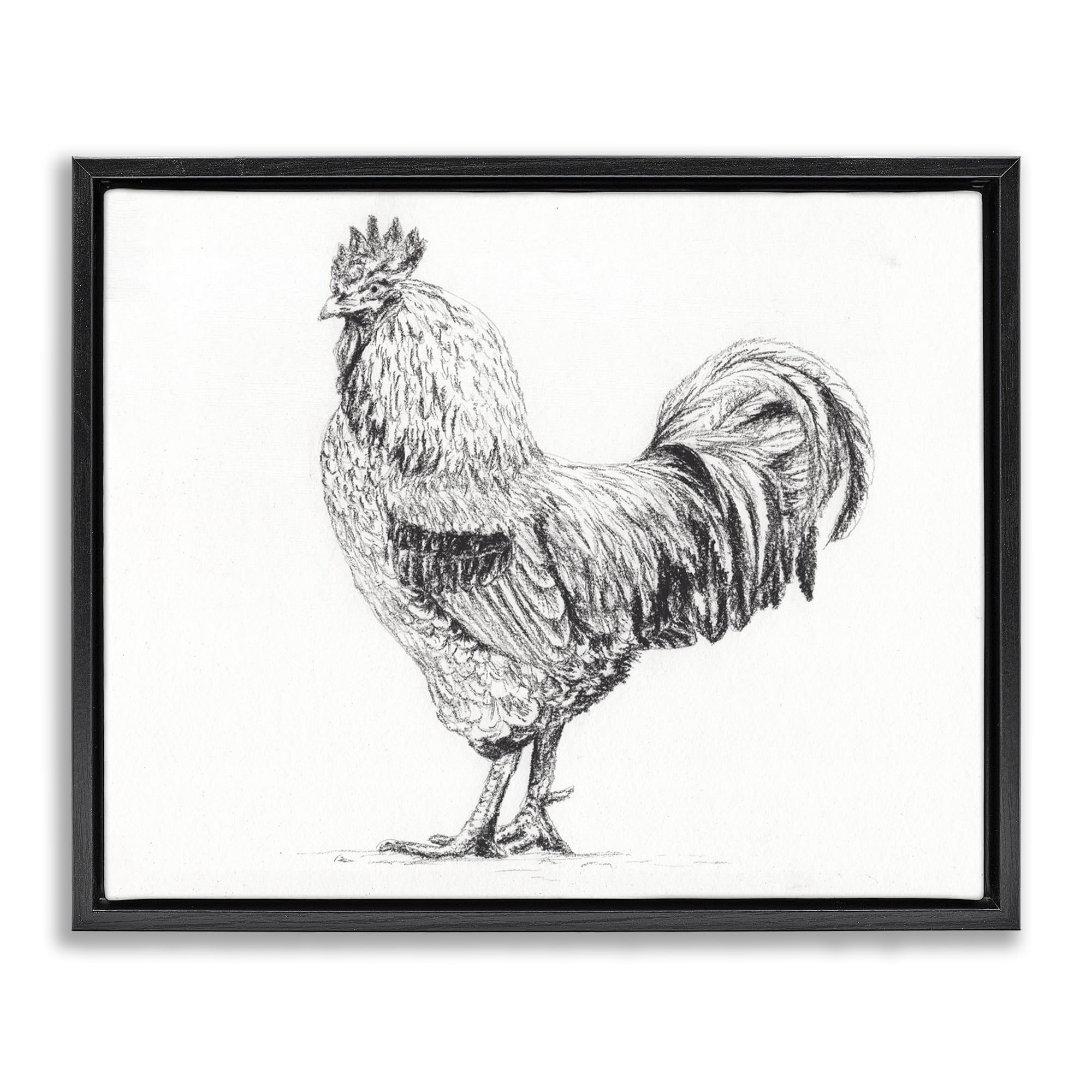 Stupell Industries 'Rooster in Charcoal', Floating Frame Canvas Art, Black, 31 x 25 Inches, Easy to Hang and Sturdy, Made in USA, by Leah Noel Art