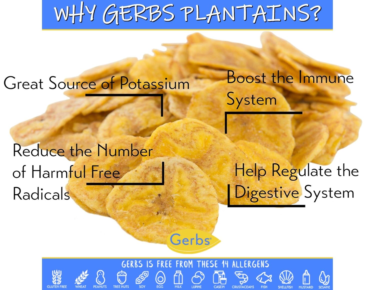 Gerbs Lightly Sea Salted Plantain Chips 2 lbs. | Dehydrated, No Added Preservatives, Resealable Bag | Crisp & Savory Snack Alternative | Top 14 Allergen-Free