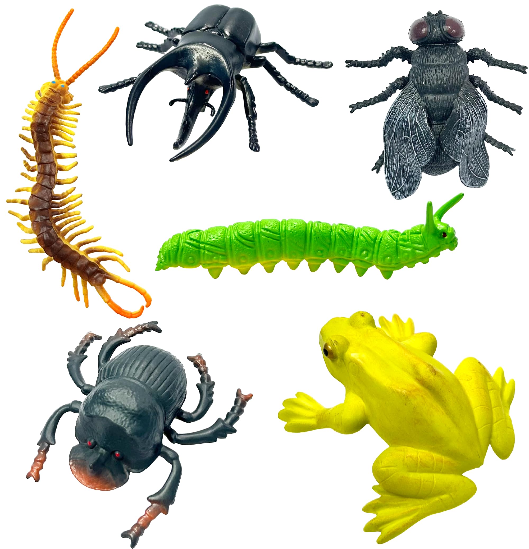 SUPER TOY 6 Insect Animal Action Figure Bug Toys Educational Play Set for Kids Birthday Gift (Assorted Insects) (B08MFGK1GC) Amazon Price History, Amazon Price Tracker