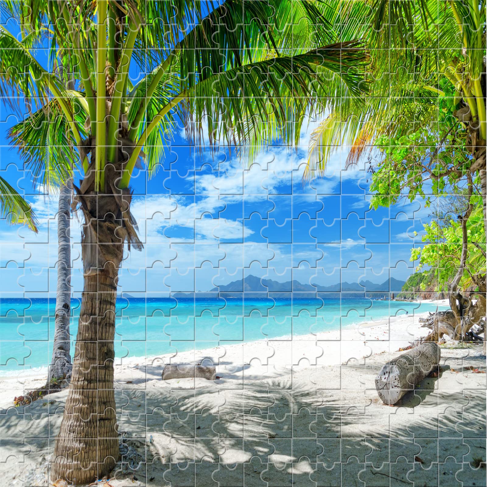 5000 Teile Puzzle Strand Ozean Hintergrund für Erwachsene, Kinder und Familien