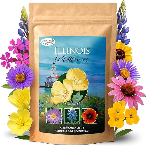 Created By Nature Mezcla de semillas de flores silvestres de Illinois, 16 variedades de flores, 40,000 semillas de flores silvestres