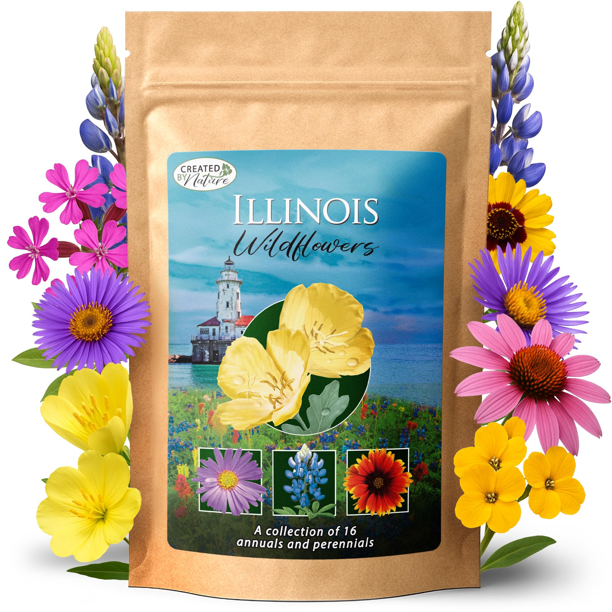 Created By Nature Illinois Wildflower Seed Mix