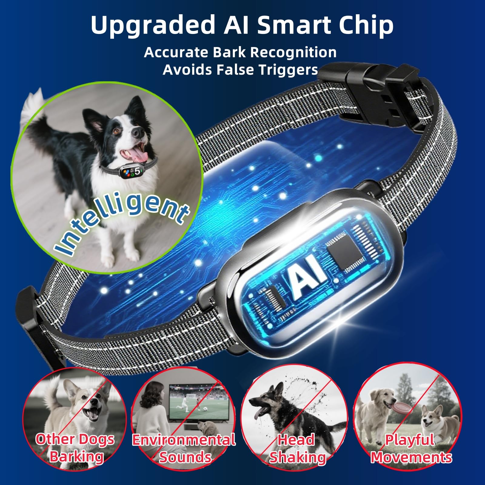 Collier Anti-aboiement pour Chiens de Toutes Tailles – Collier de Dressage Intelligent avec Écran TFT, 5 Modes + 5 Niveaux, Rechargeable IP67