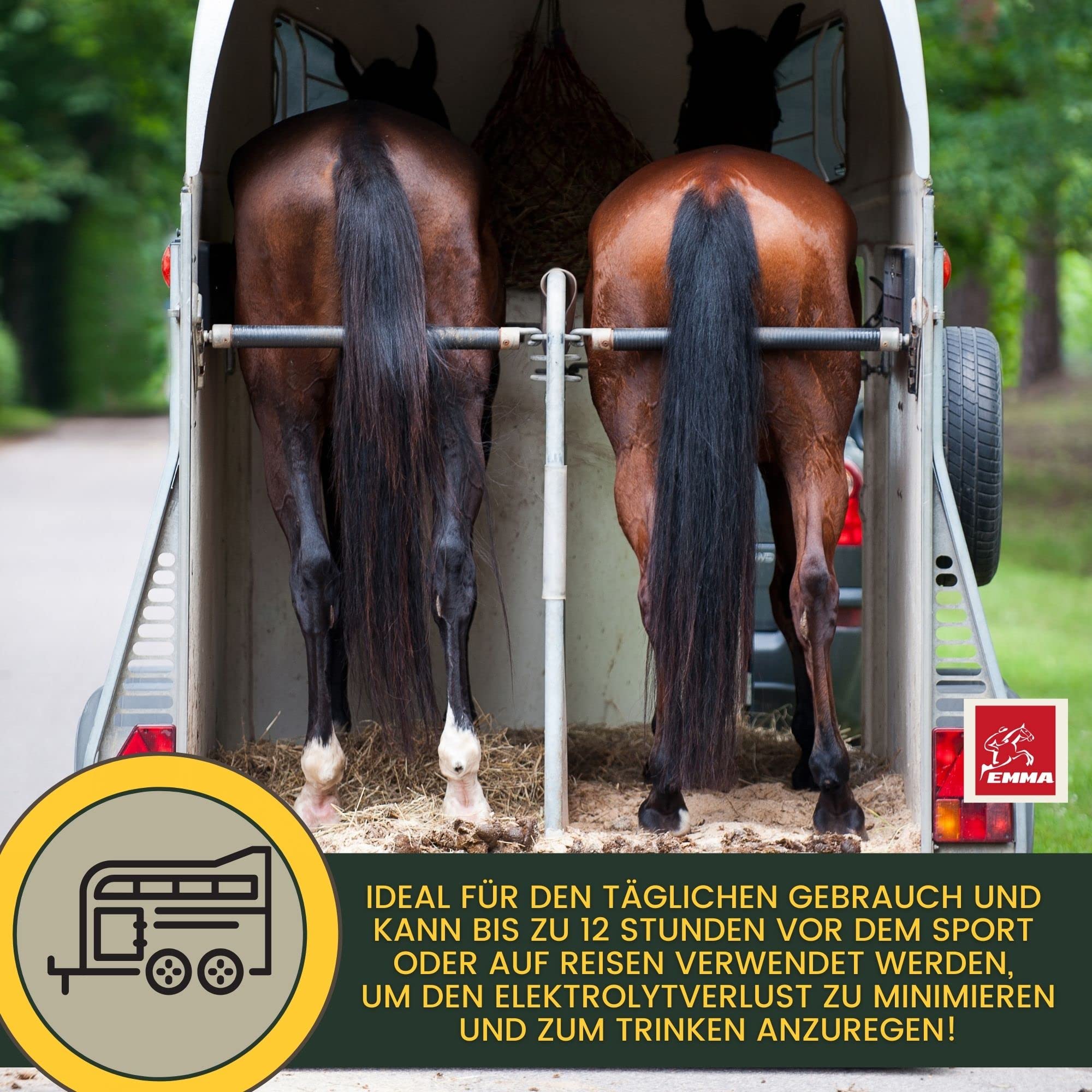 Pferde Elektrolyte Pulver & Aminosäuren komplex I Elektrolyt Pulver Kalium Natrium Calcium Magnesium Elektrolyten Aminosäuren Pferd I Elektrolyte Pferd Hydraid bei Durchfall Kotwasser Schwitzen 700g