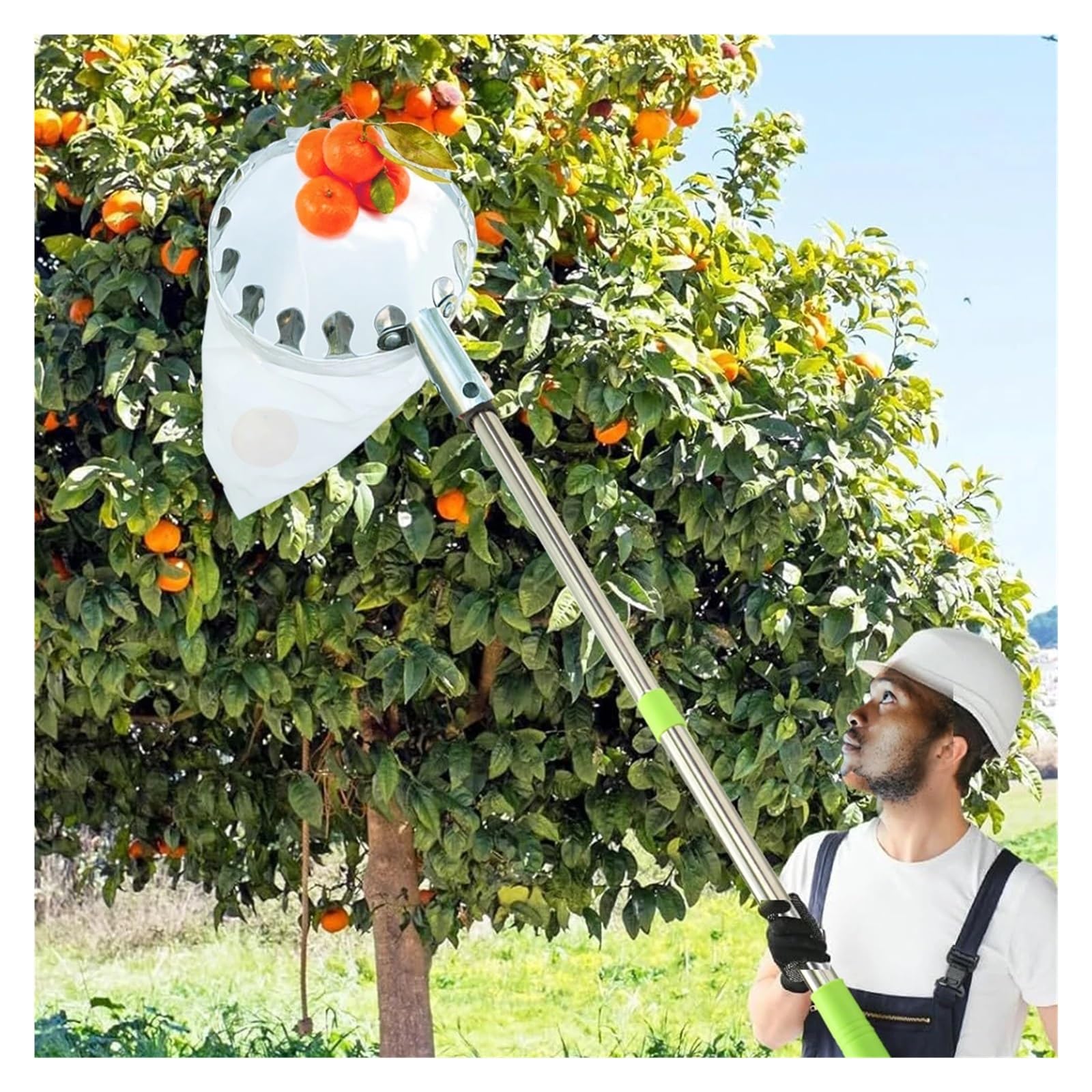 Cueille Fruit Tête de cueillette de Fruits for Panier de Jardin avec Manche télescopique Extensible for cueillir des poires(C-3.2M(10.4FT))